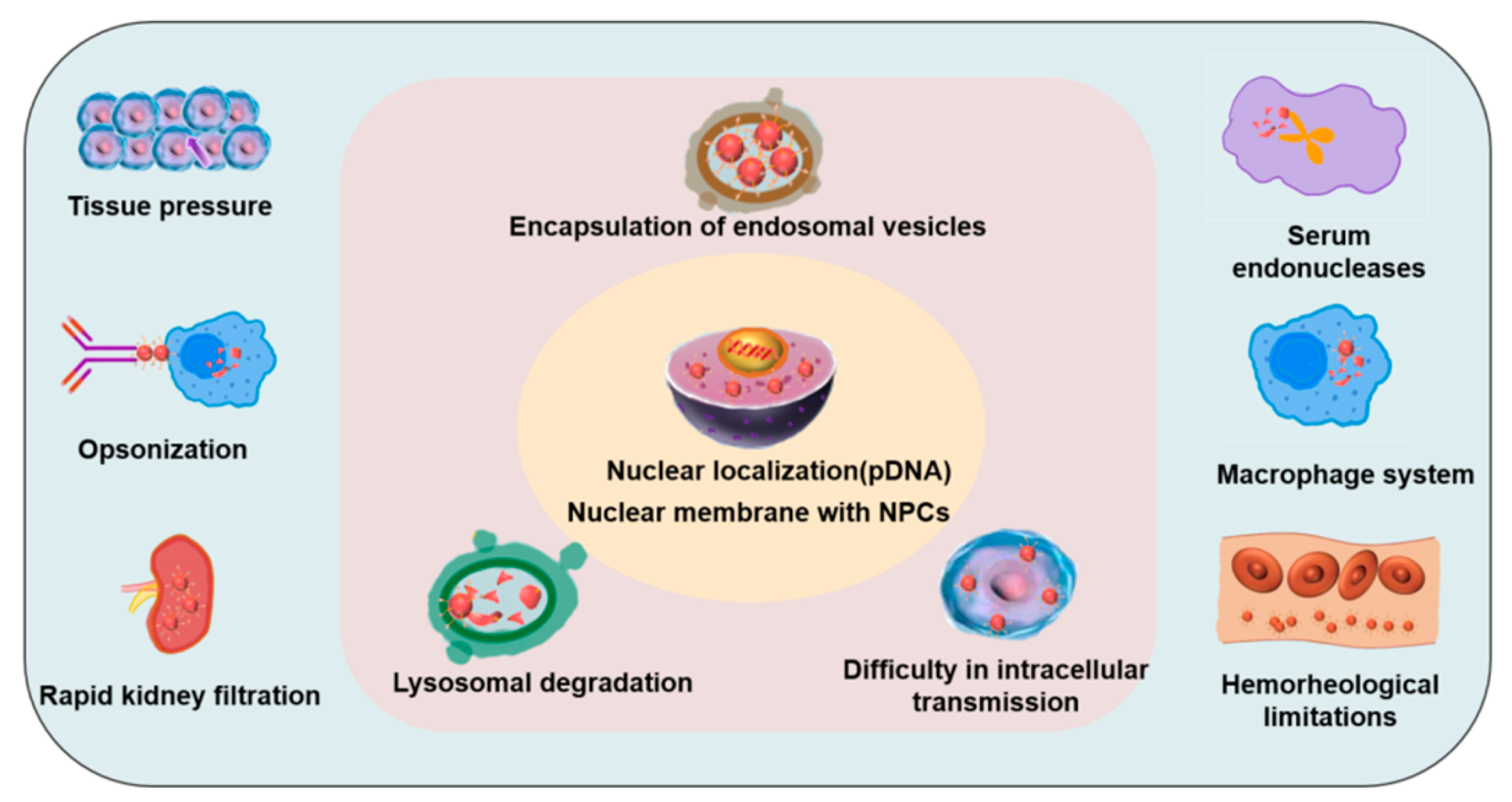 Biomedicines 11 01971 g005
