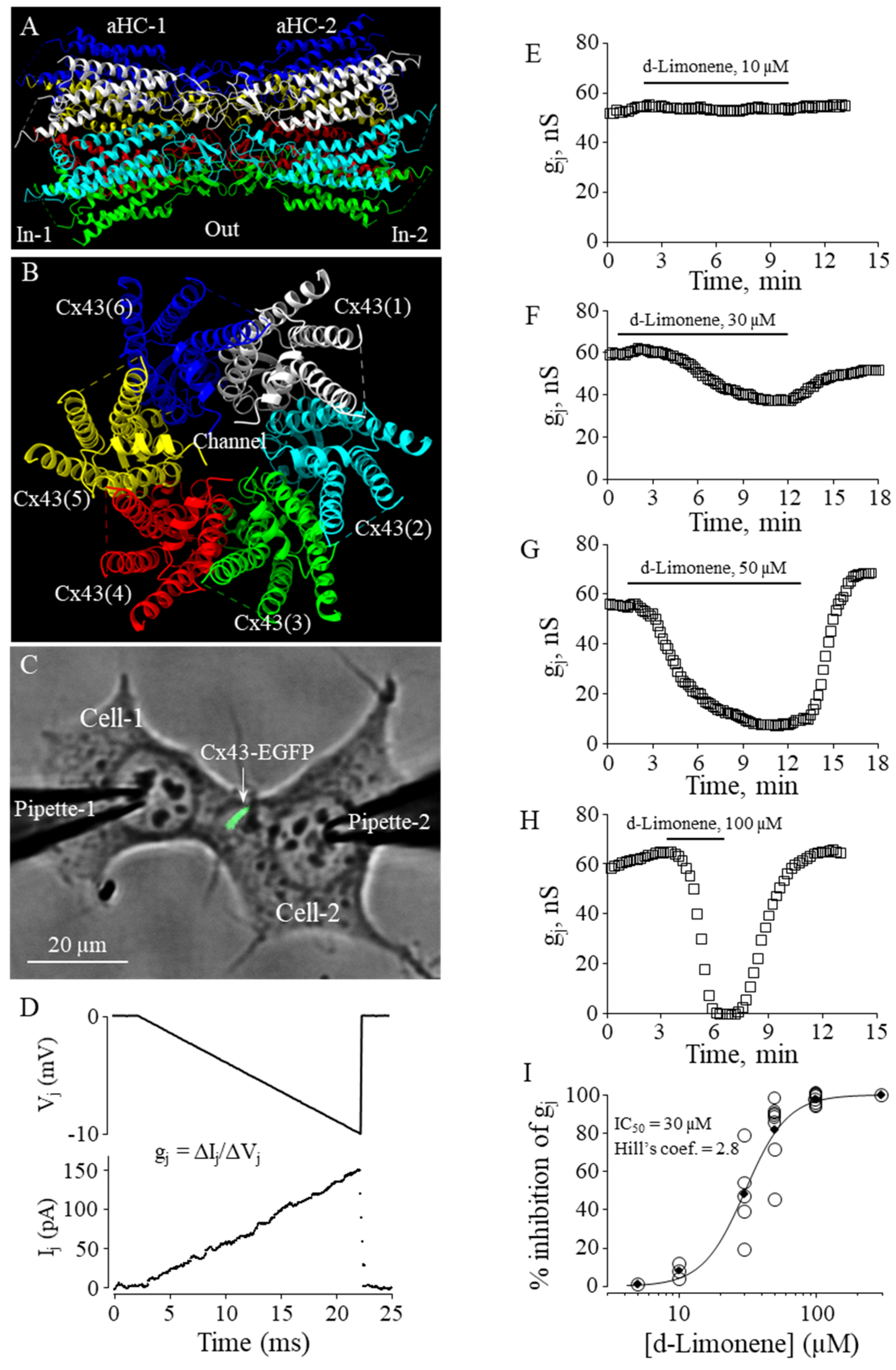 Biomedicines 11 01972 g005 Biomedicines 11 01972 g005