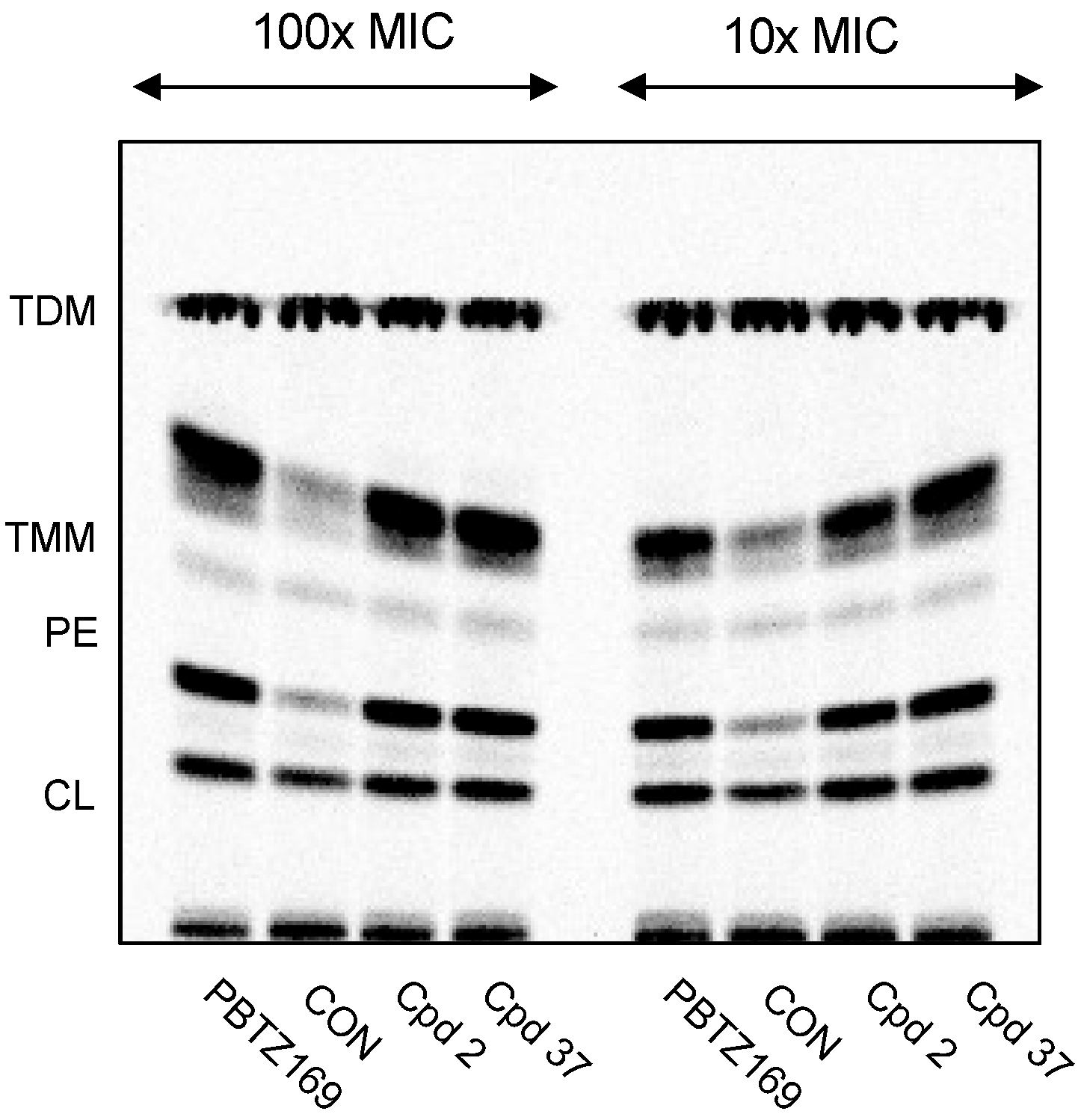 Biomedicines 11 01975 g003