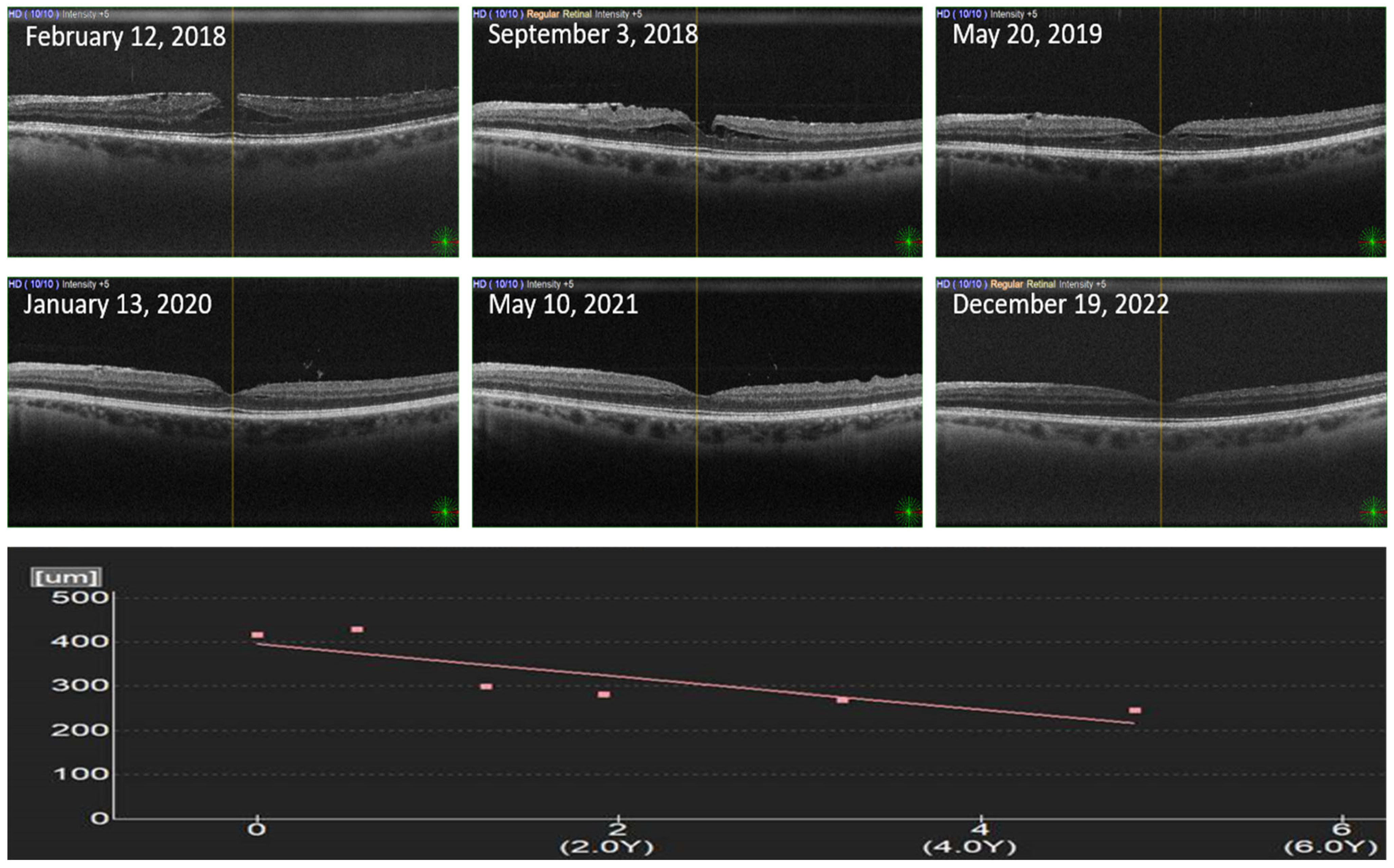 Biomedicines 11 01976 g001 Biomedicines 11 01976 g001