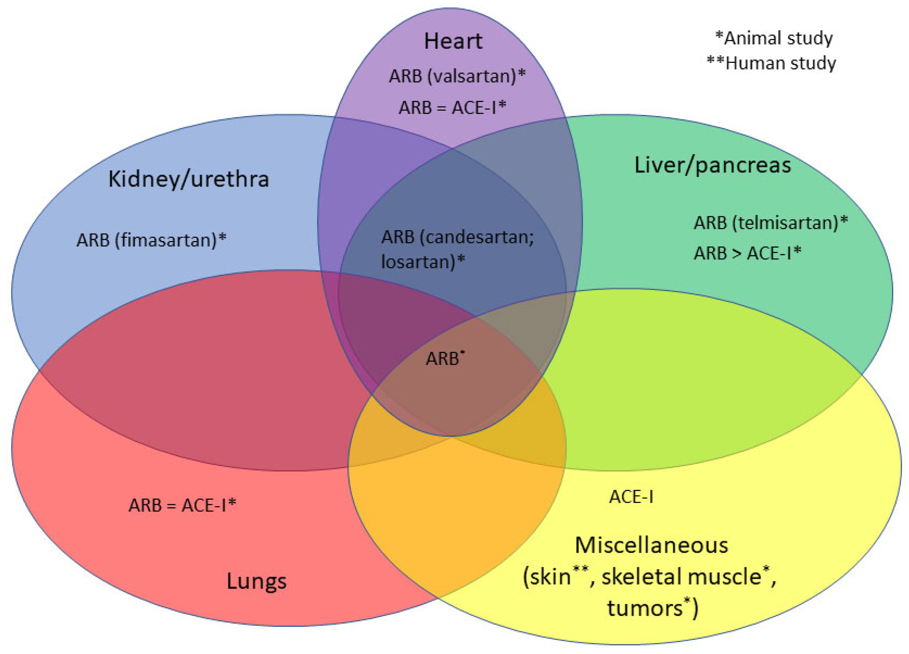 Biomedicines 11 01976 g002 Biomedicines 11 01976 g002