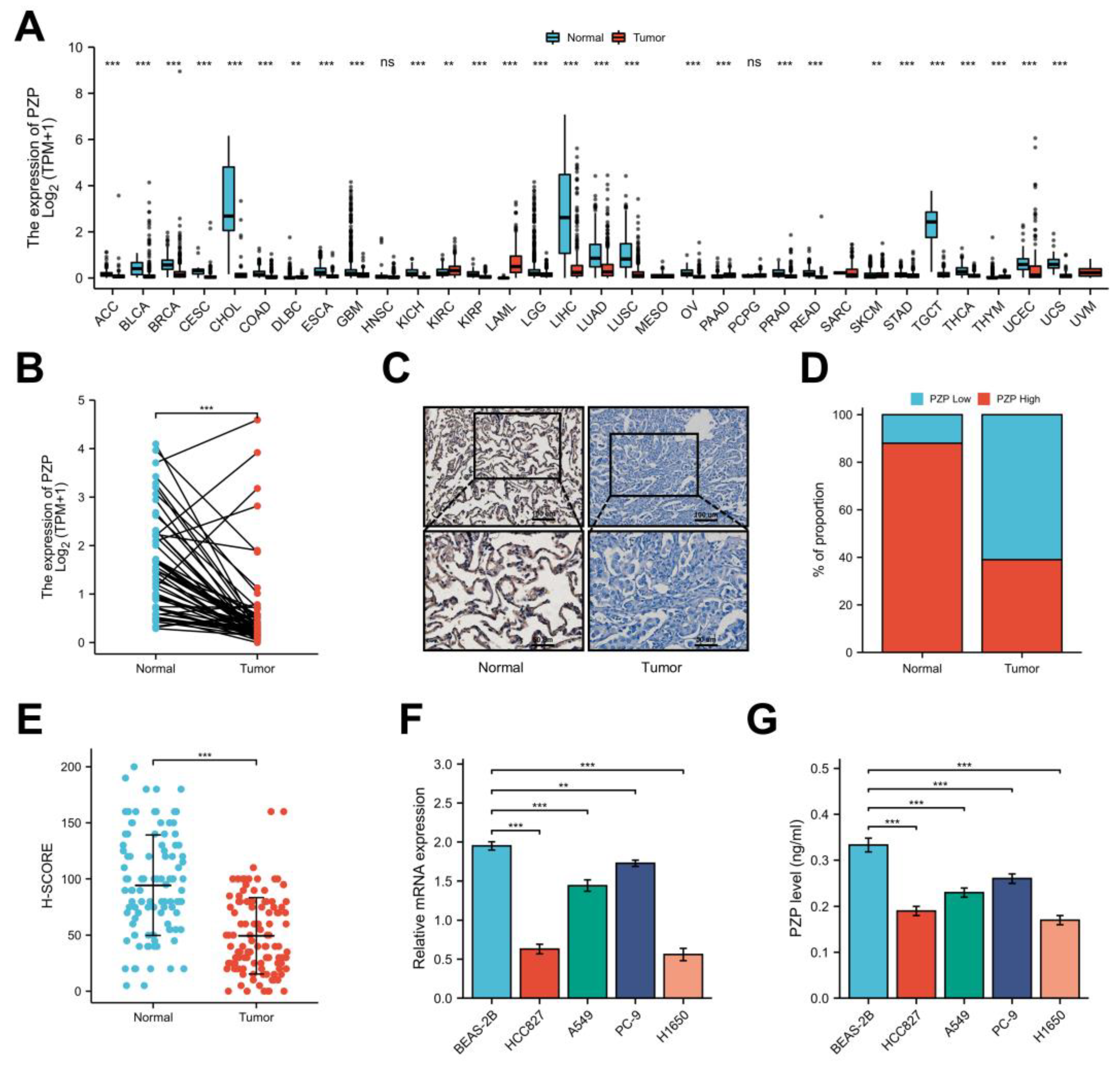 Biomedicines 11 01978 g001 Biomedicines 11 01978 g001