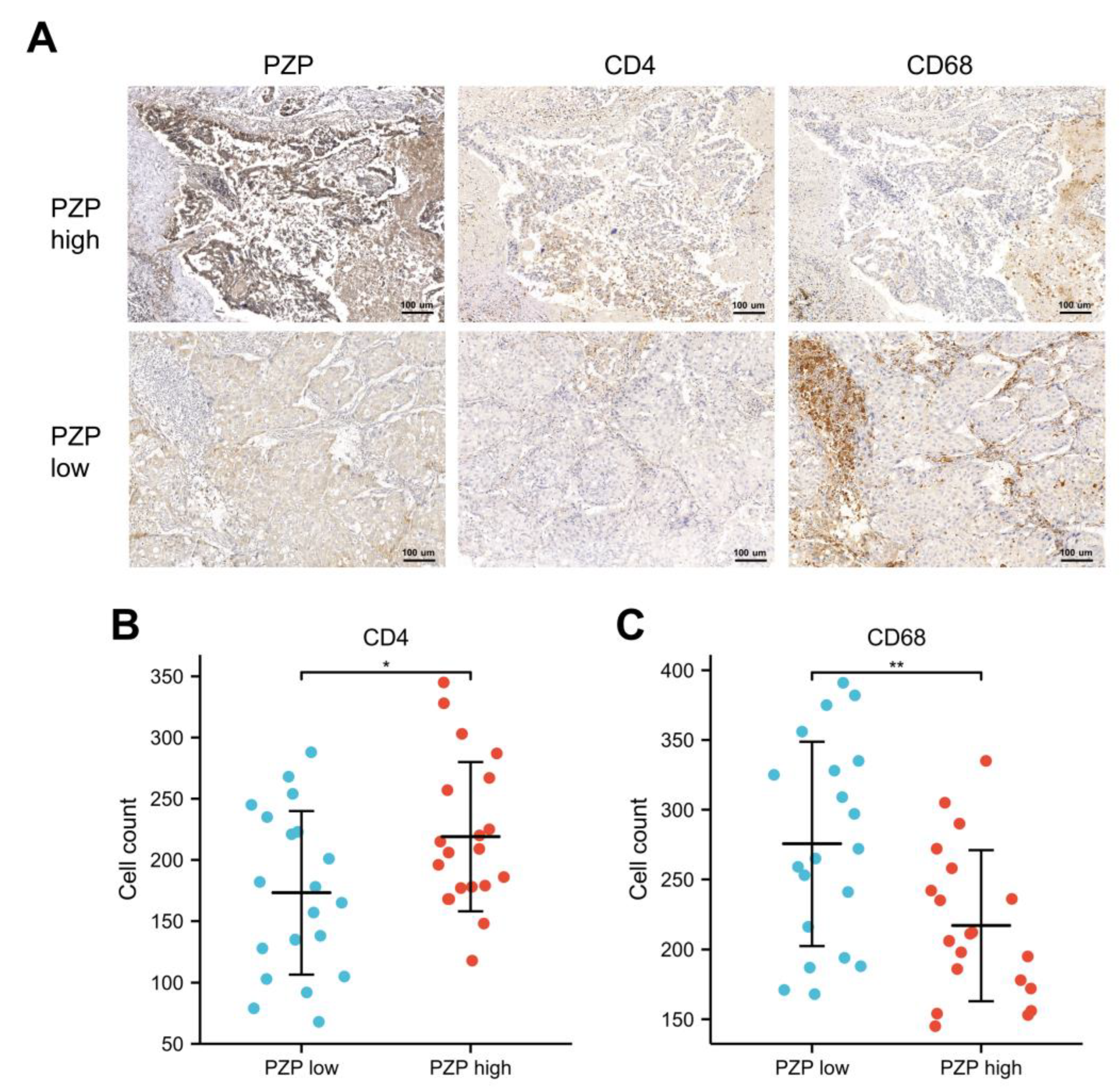 Biomedicines 11 01978 g004 Biomedicines 11 01978 g004