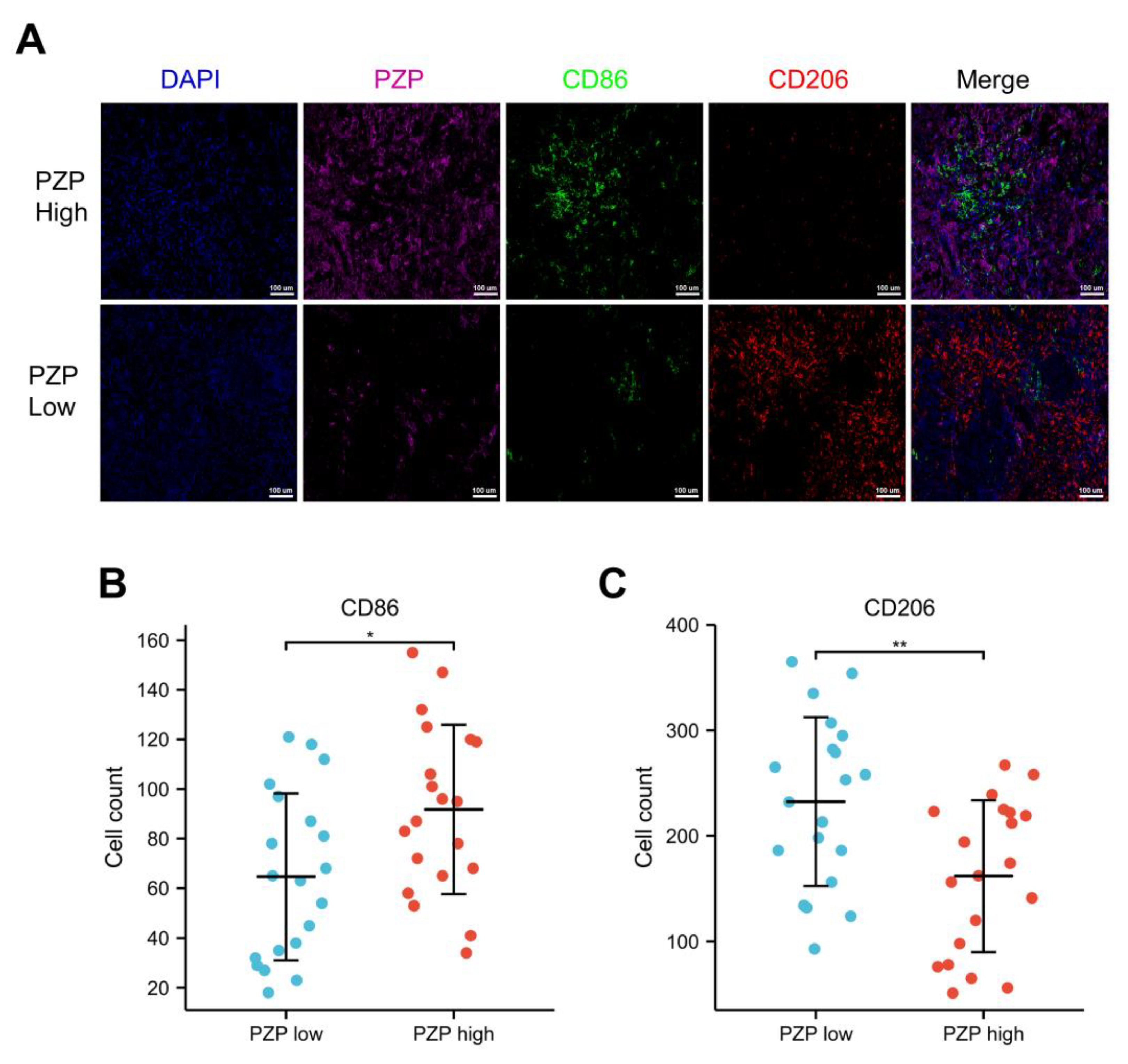 Biomedicines 11 01978 g005 Biomedicines 11 01978 g005