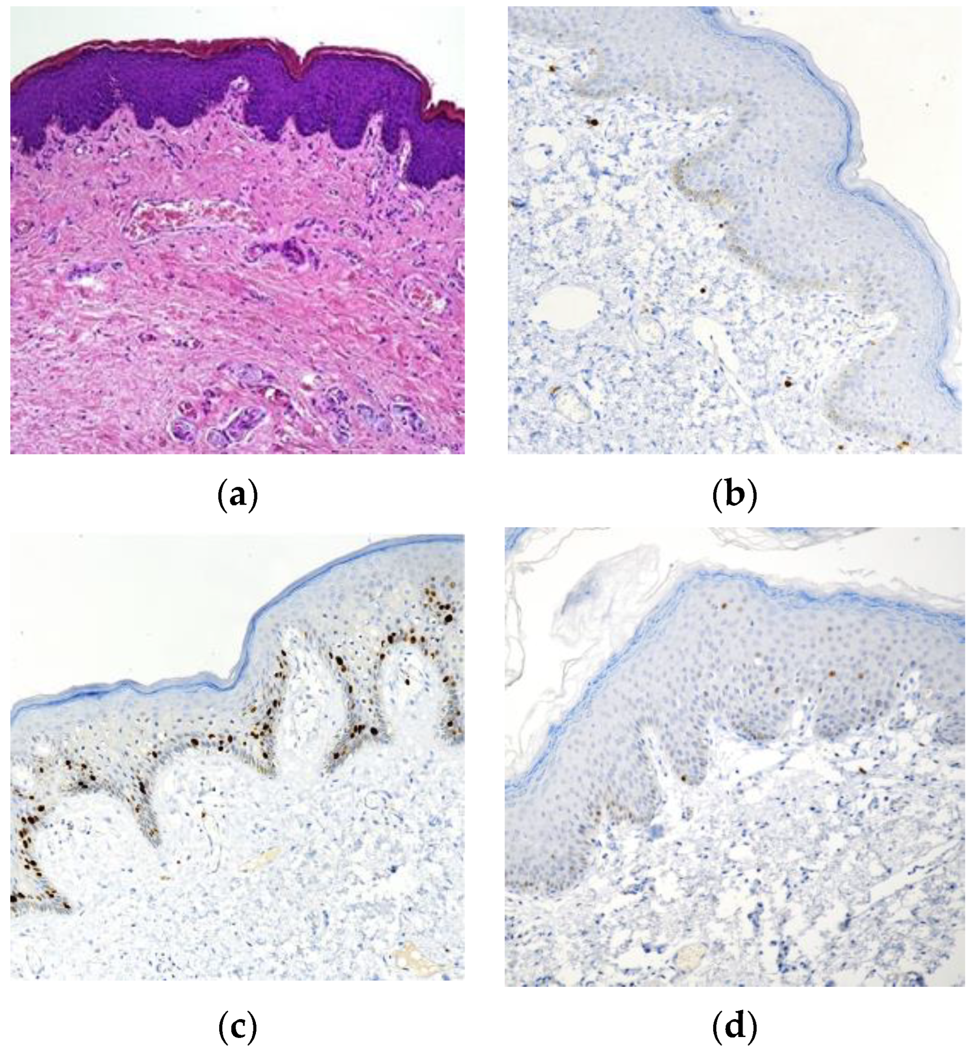 Biomedicines 11 01986 g001a Biomedicines 11 01986 g001a