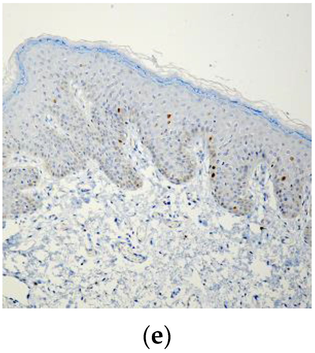 Biomedicines 11 01986 g001b Biomedicines 11 01986 g001b