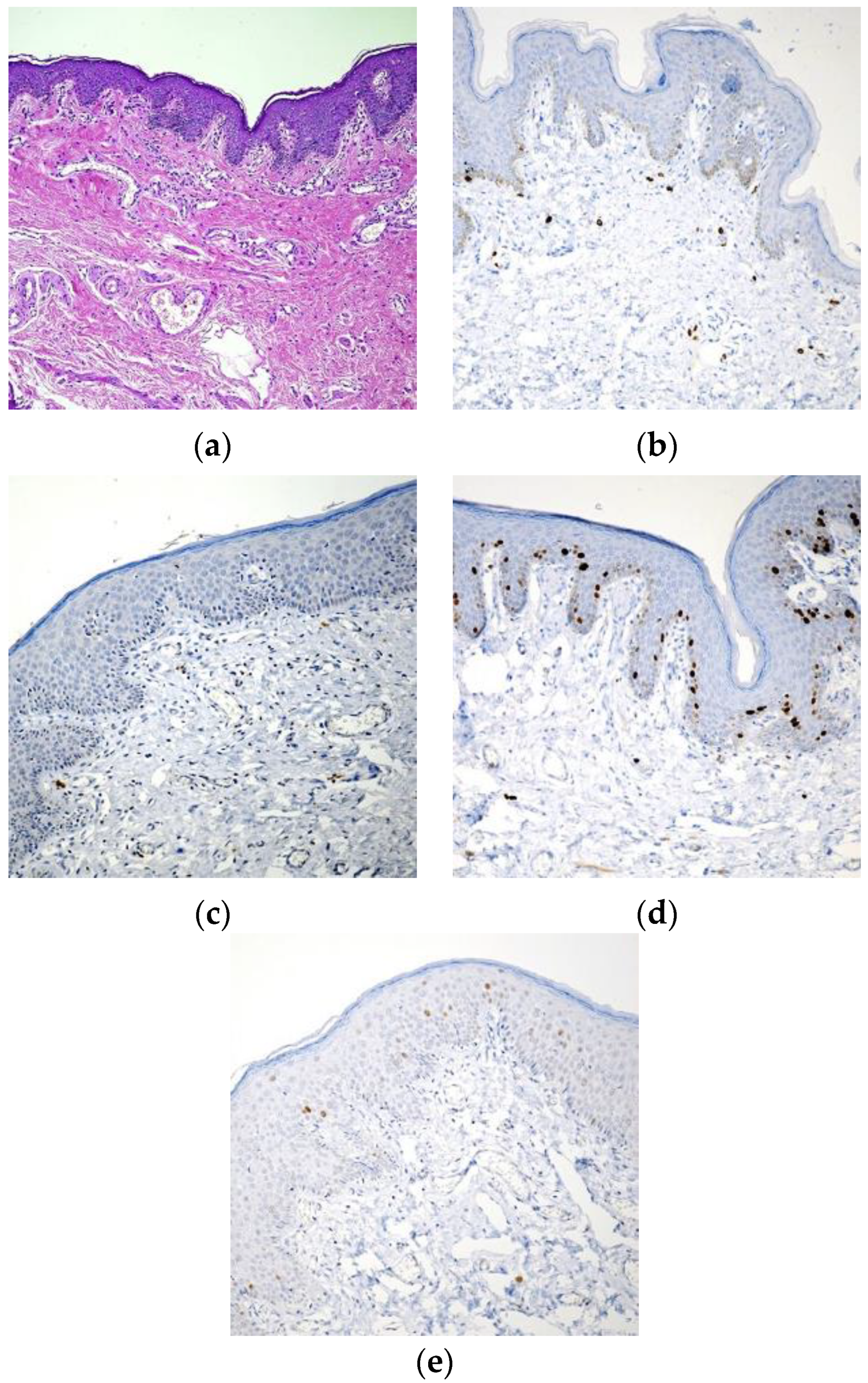 Biomedicines 11 01986 g002 Biomedicines 11 01986 g002