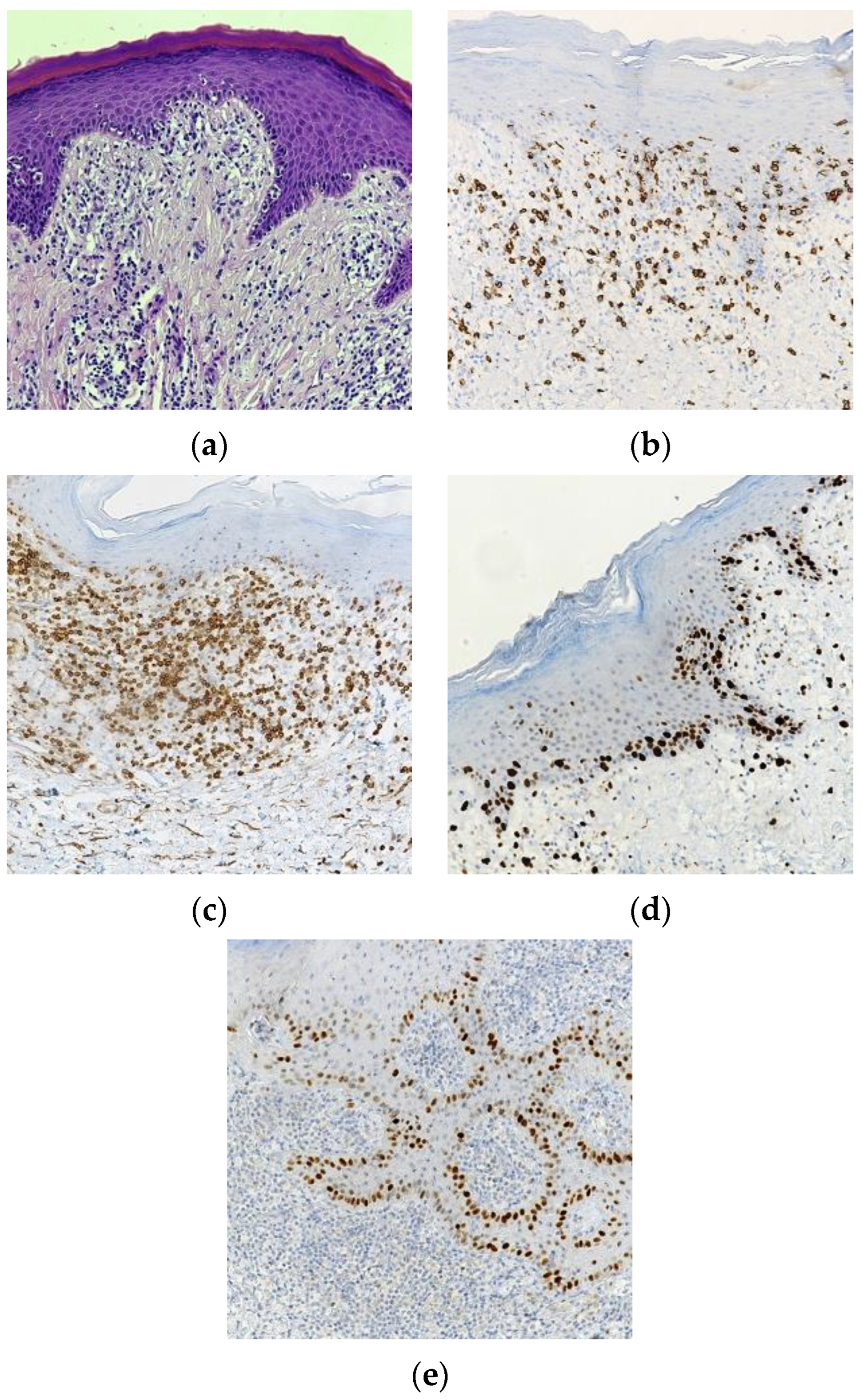 Biomedicines 11 01986 g003 Biomedicines 11 01986 g003