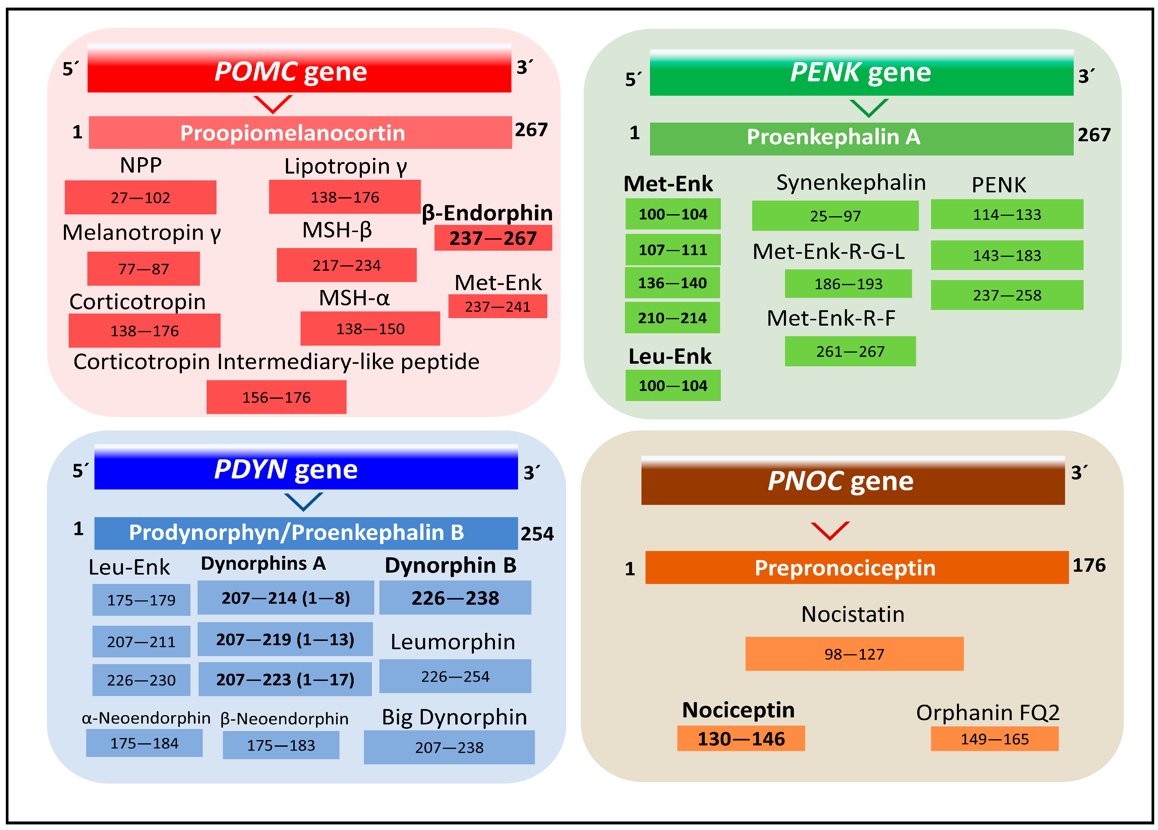 Biomedicines 11 01993 g001
