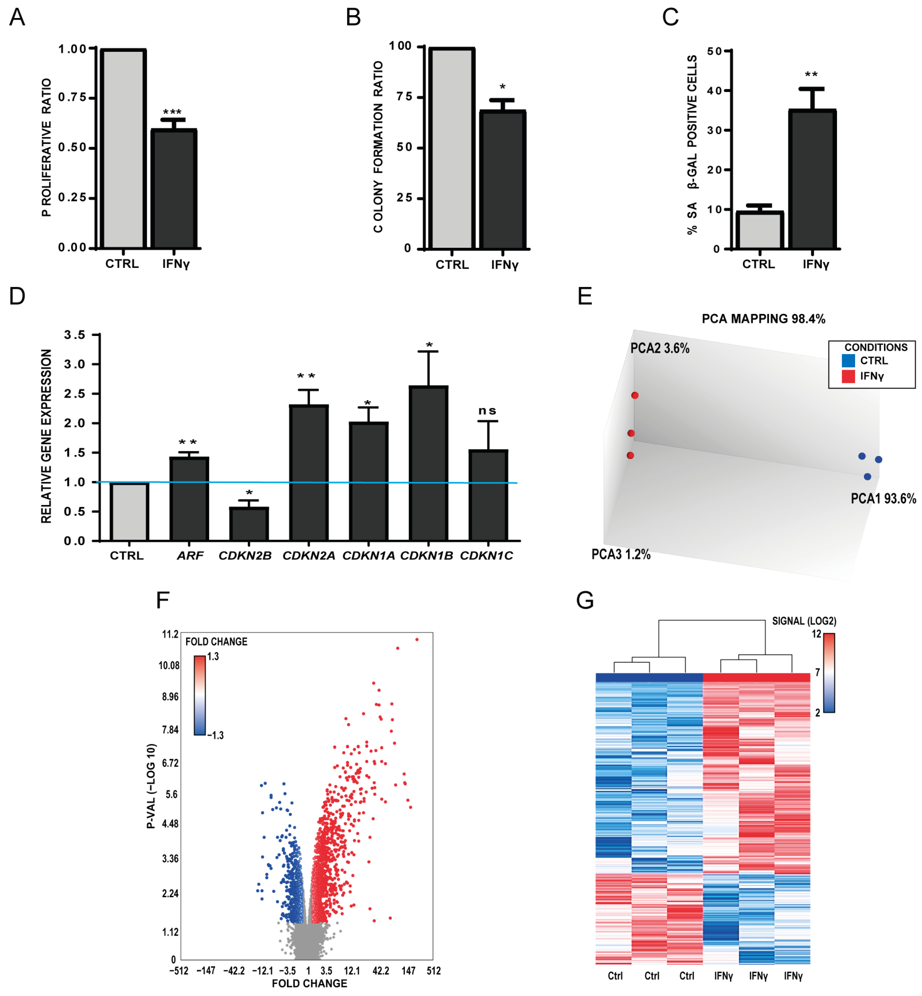 Biomedicines 11 01994 g001 Biomedicines 11 01994 g001