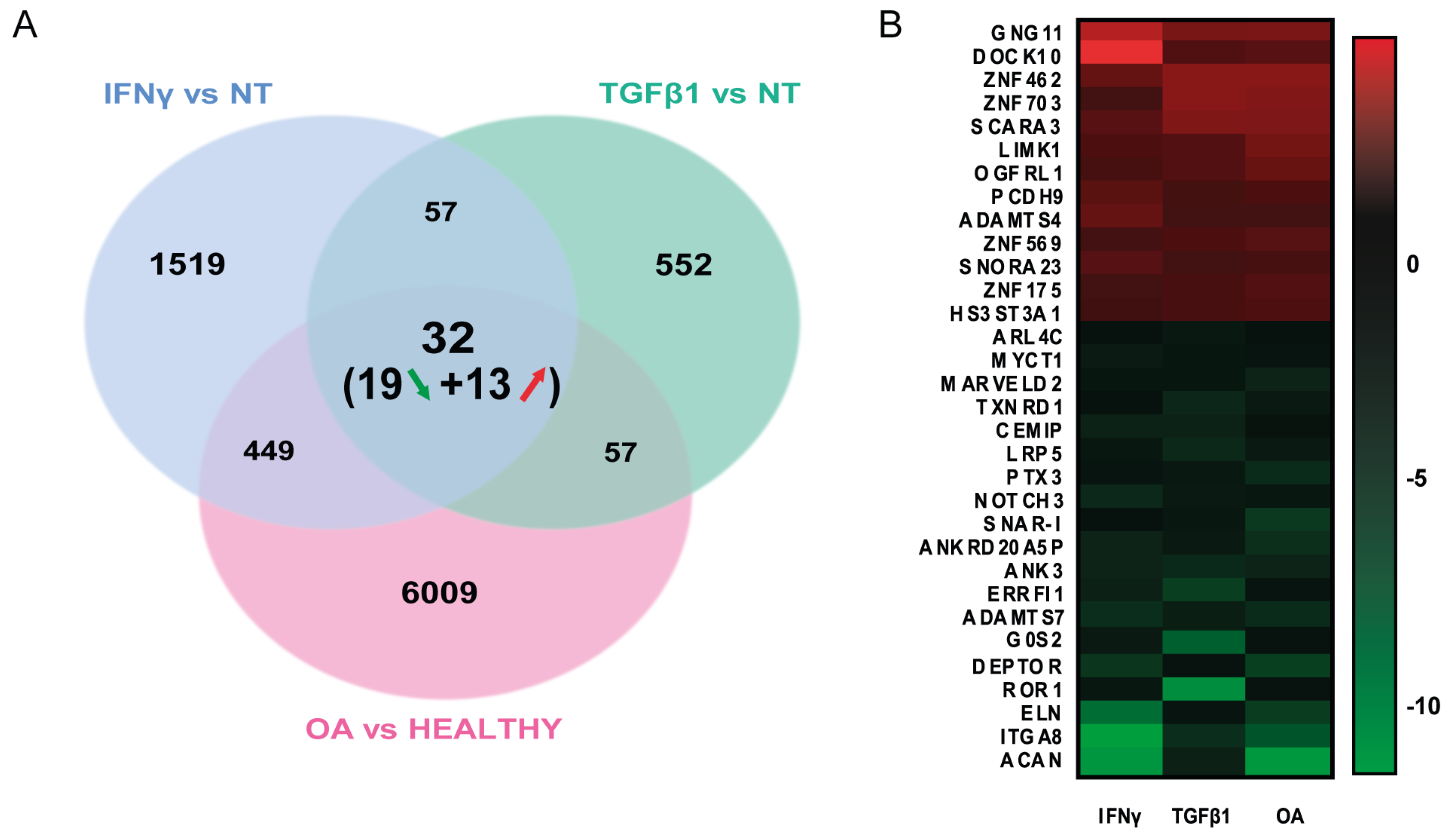 Biomedicines 11 01994 g004a Biomedicines 11 01994 g004a