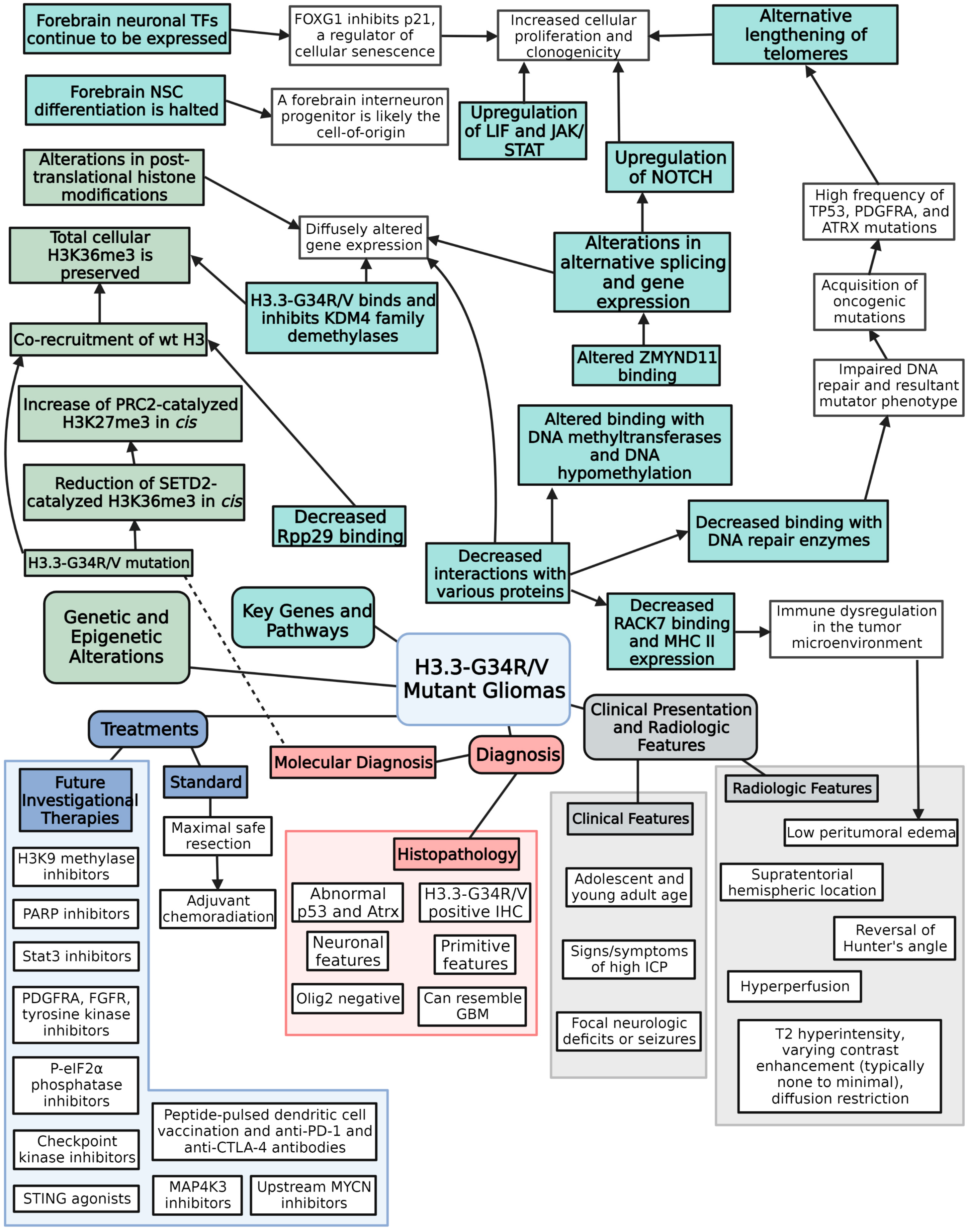 Biomedicines 11 02002 g002 Biomedicines 11 02002 g002