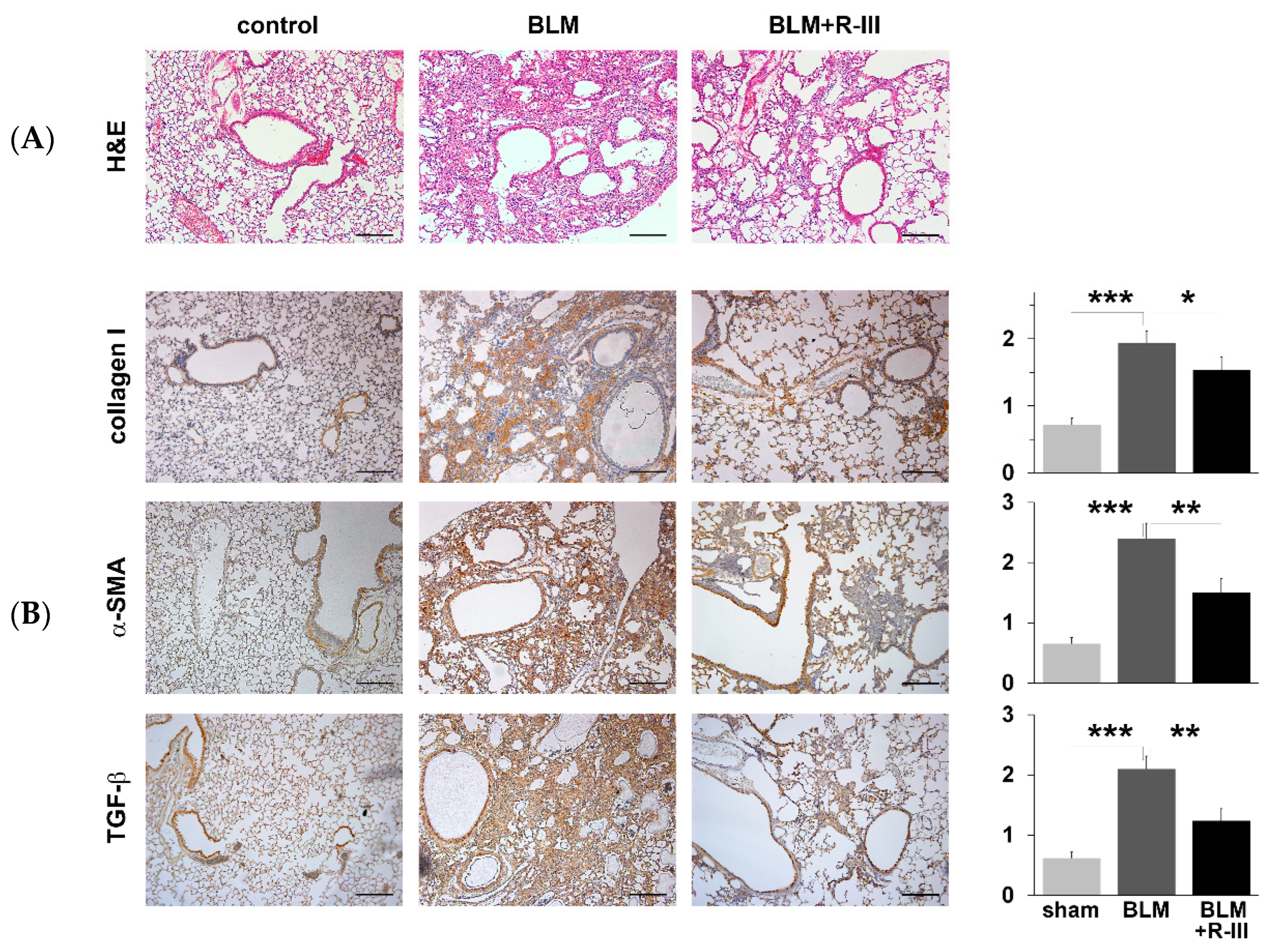 Biomedicines 11 02007 g001 Biomedicines 11 02007 g001