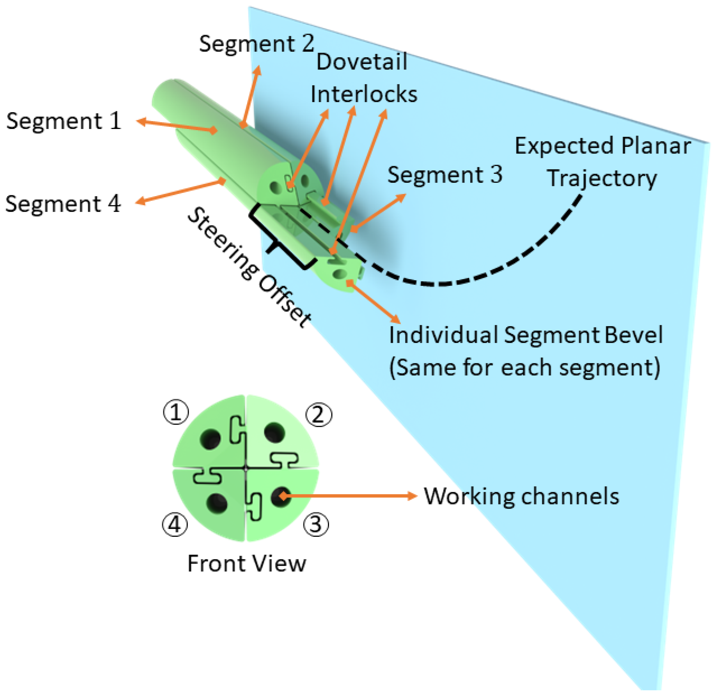 Biomedicines 11 02008 g001 Biomedicines 11 02008 g001
