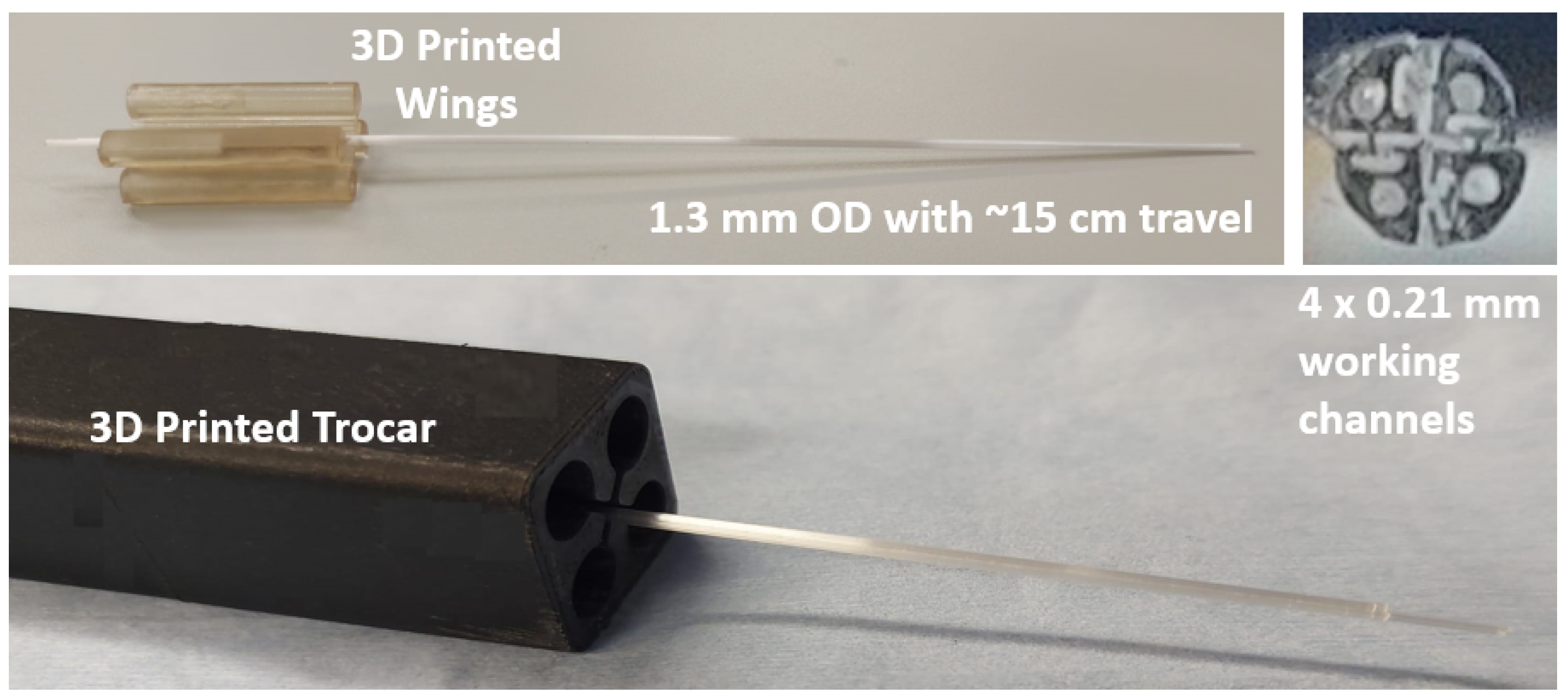 Biomedicines 11 02008 g004 Biomedicines 11 02008 g004