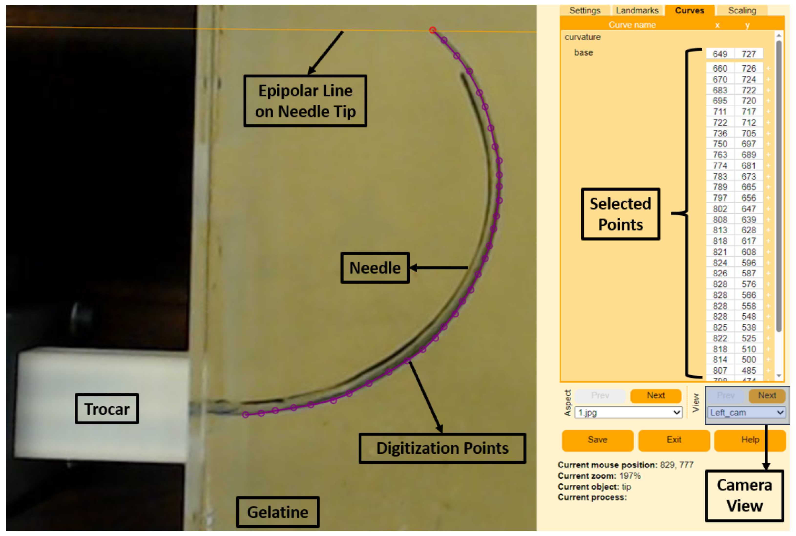 Biomedicines 11 02008 g006 Biomedicines 11 02008 g006