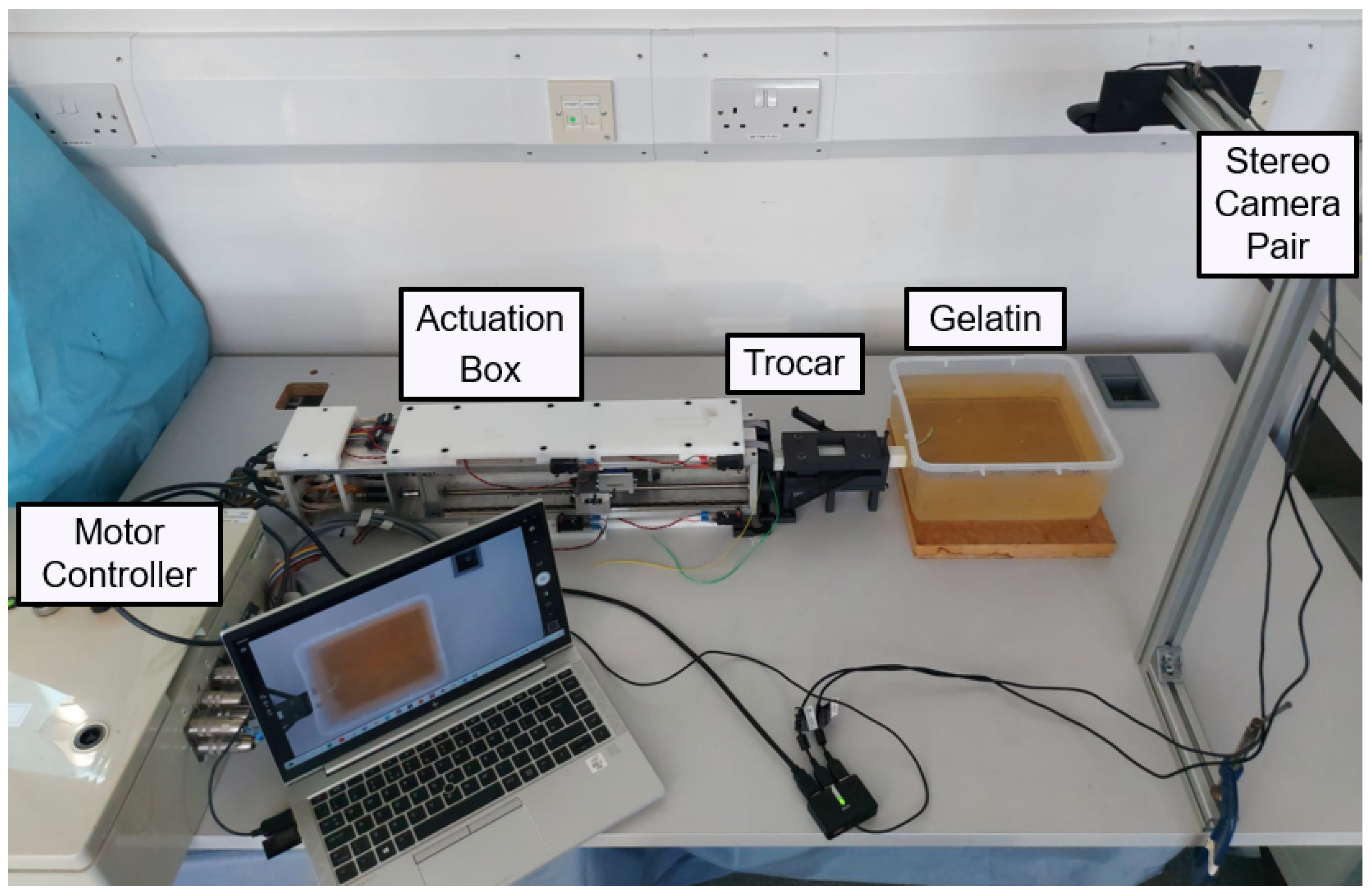 Biomedicines 11 02008 g008 Biomedicines 11 02008 g008