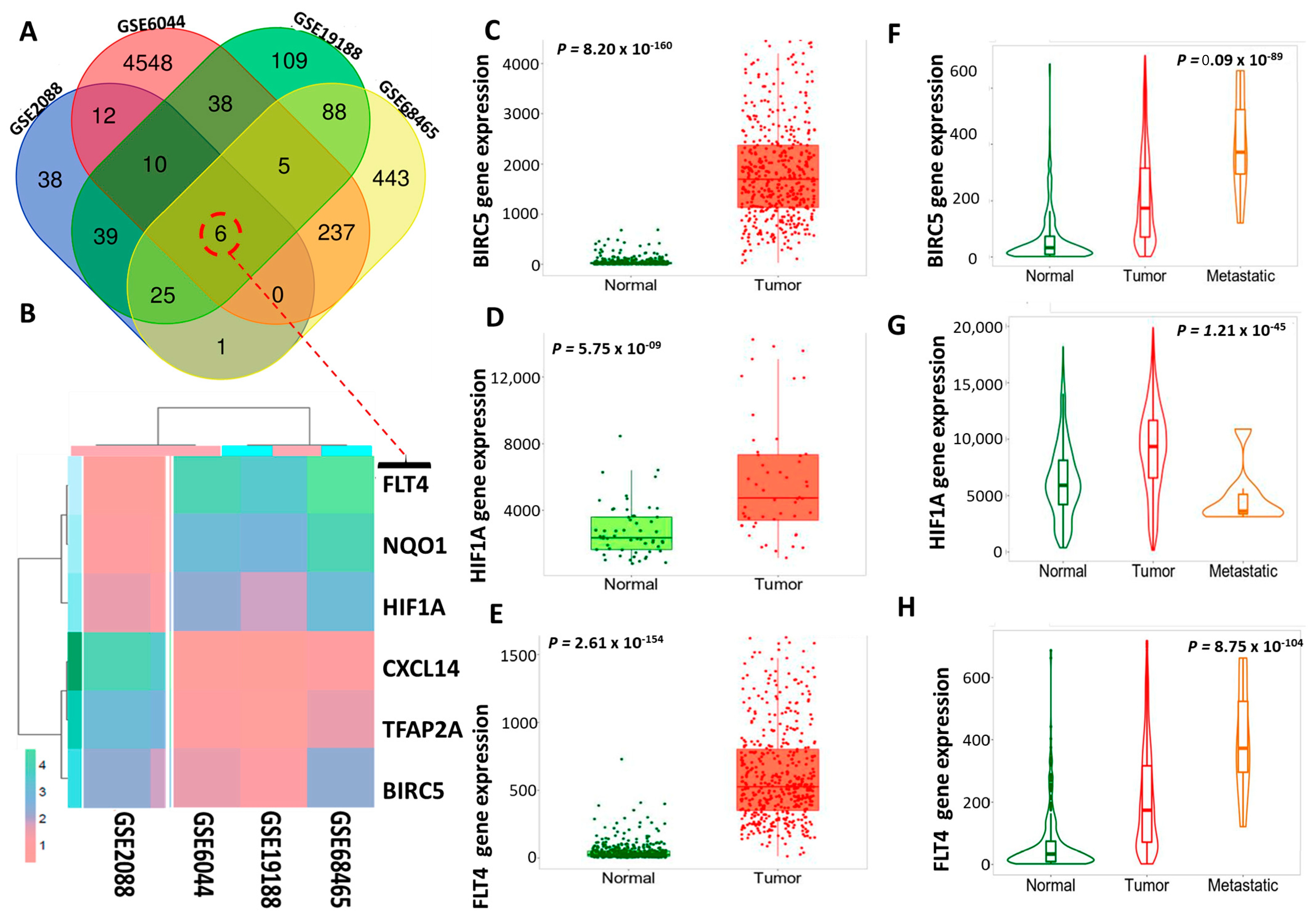 Biomedicines 11 02011 g002 Biomedicines 11 02011 g002