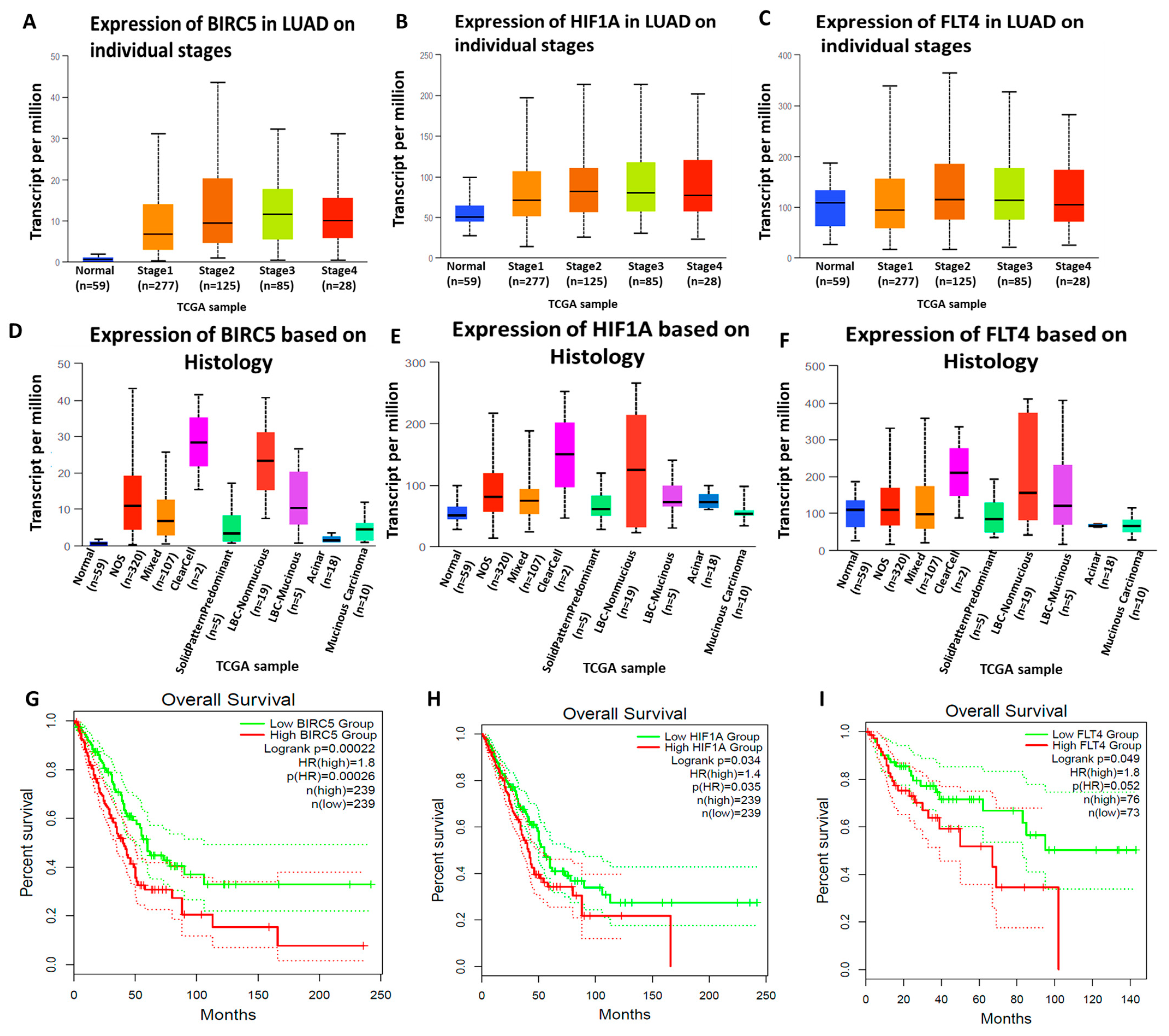 Biomedicines 11 02011 g003 Biomedicines 11 02011 g003