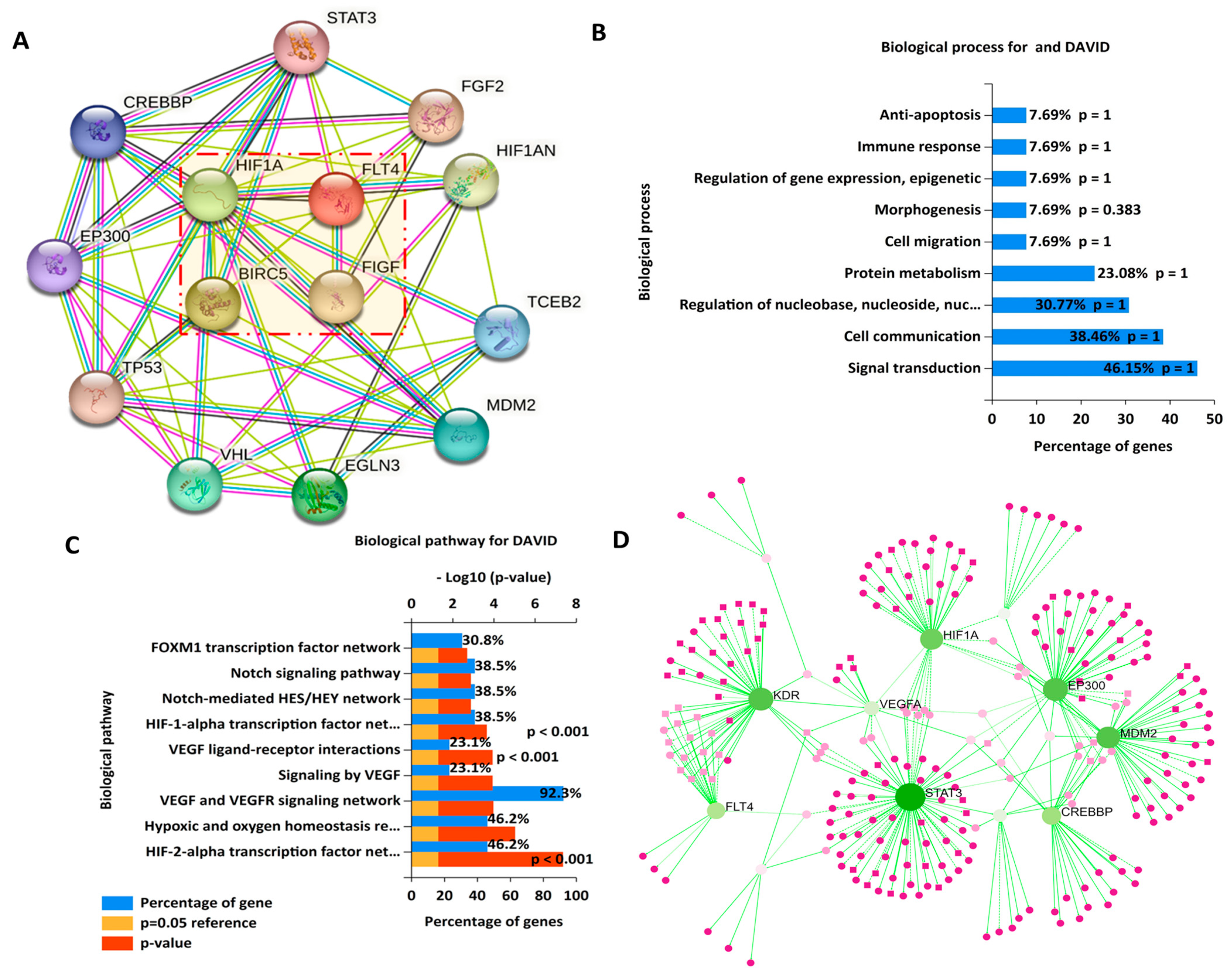 Biomedicines 11 02011 g004 Biomedicines 11 02011 g004
