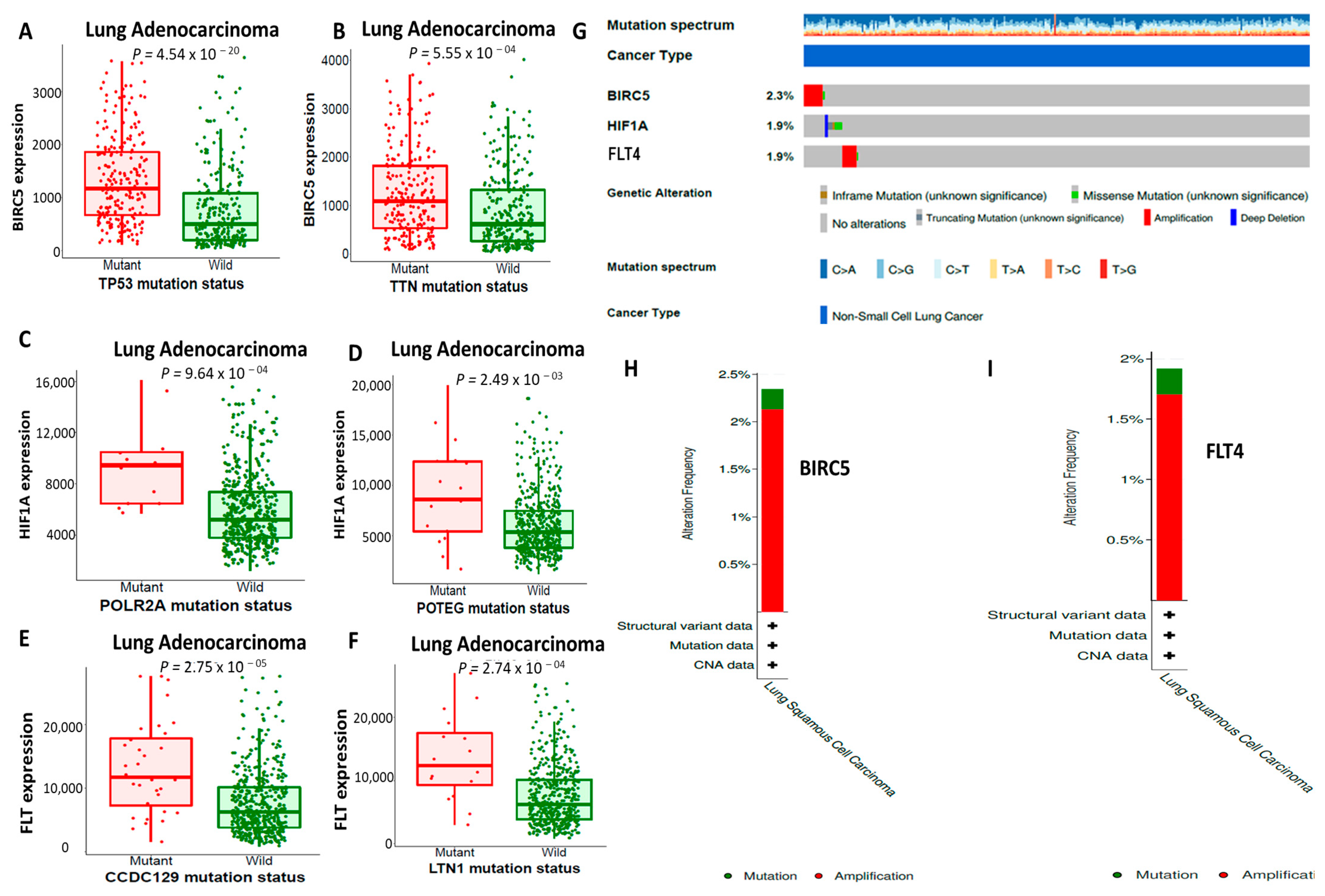 Biomedicines 11 02011 g005 Biomedicines 11 02011 g005