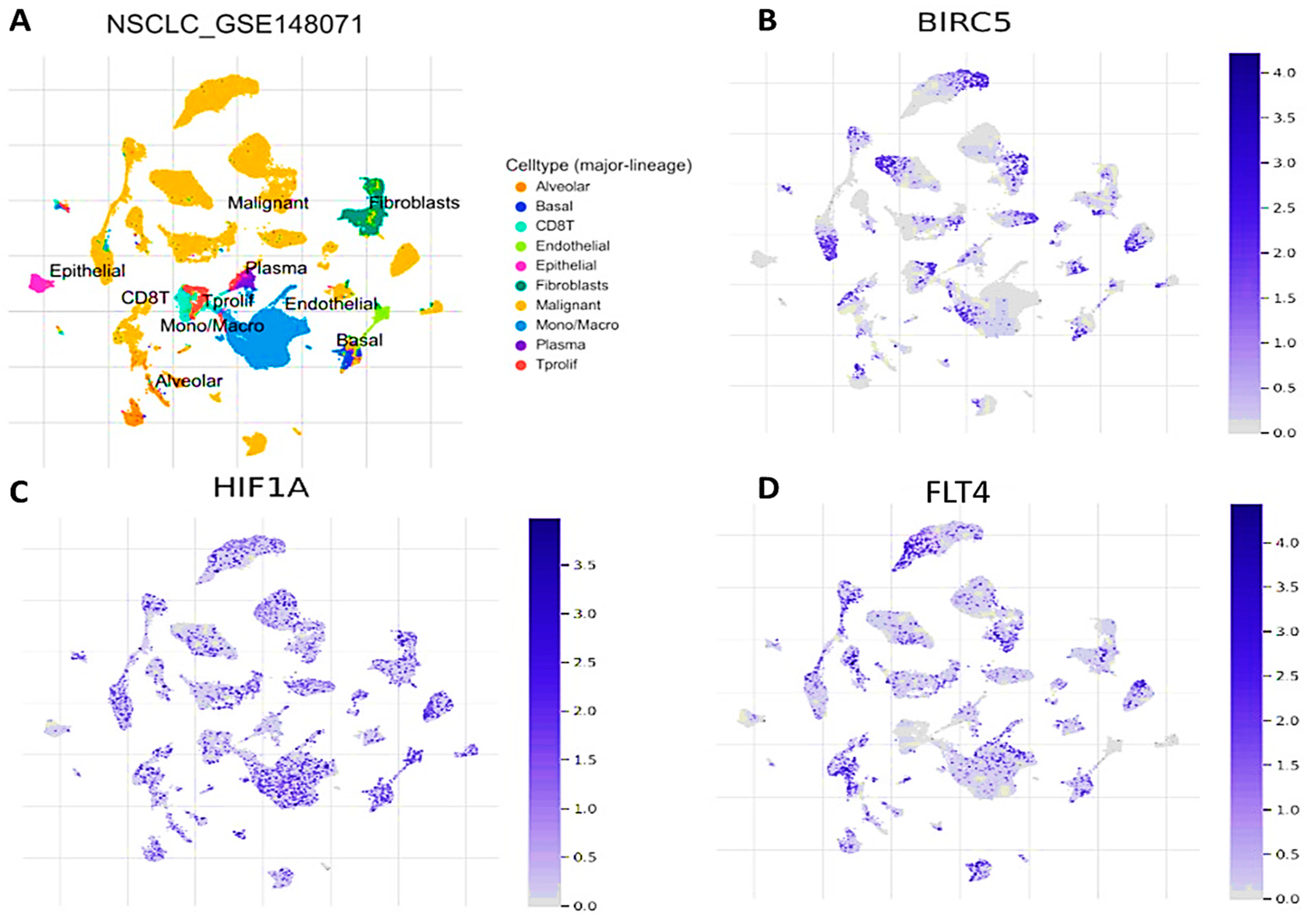 Biomedicines 11 02011 g006 Biomedicines 11 02011 g006