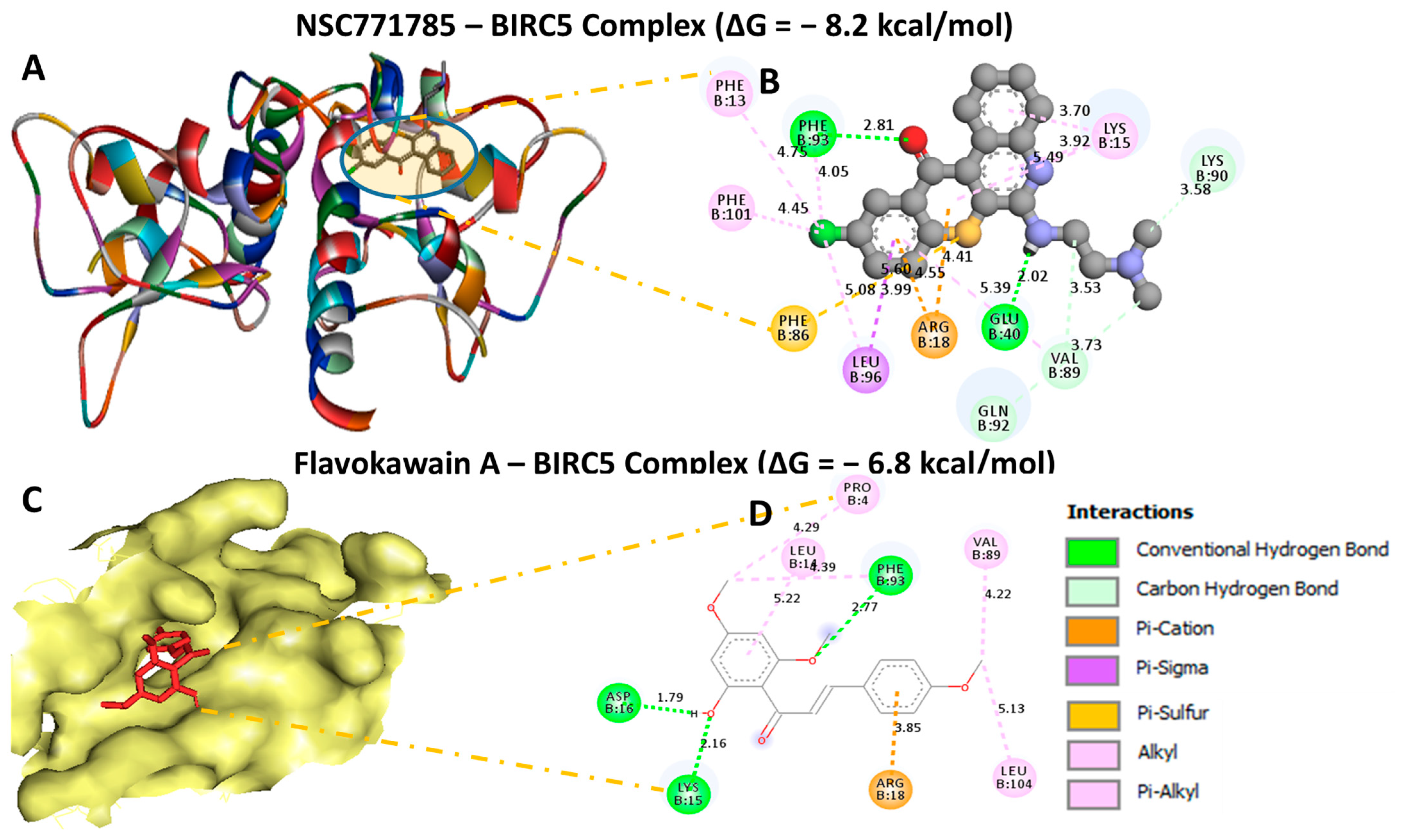 Biomedicines 11 02011 g010 Biomedicines 11 02011 g010