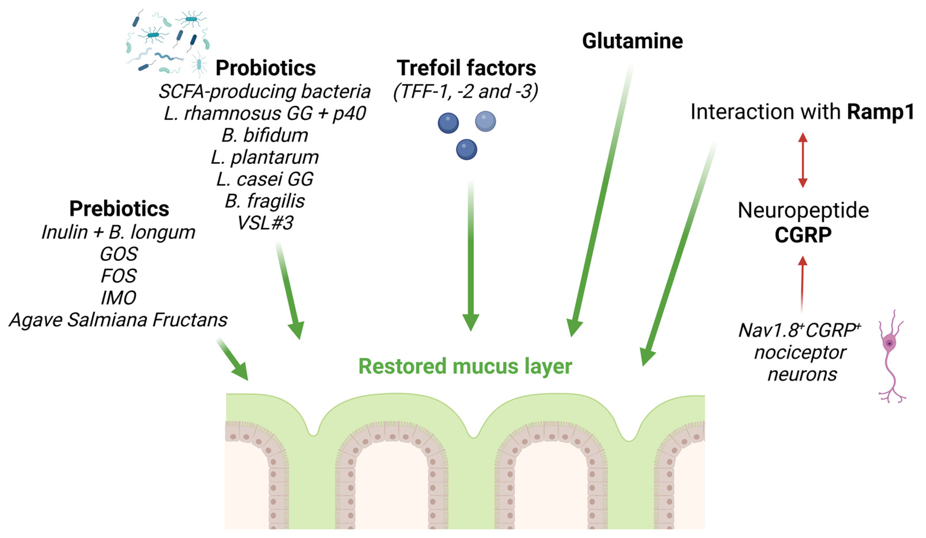 Biomedicines 11 02015 g001 Biomedicines 11 02015 g001