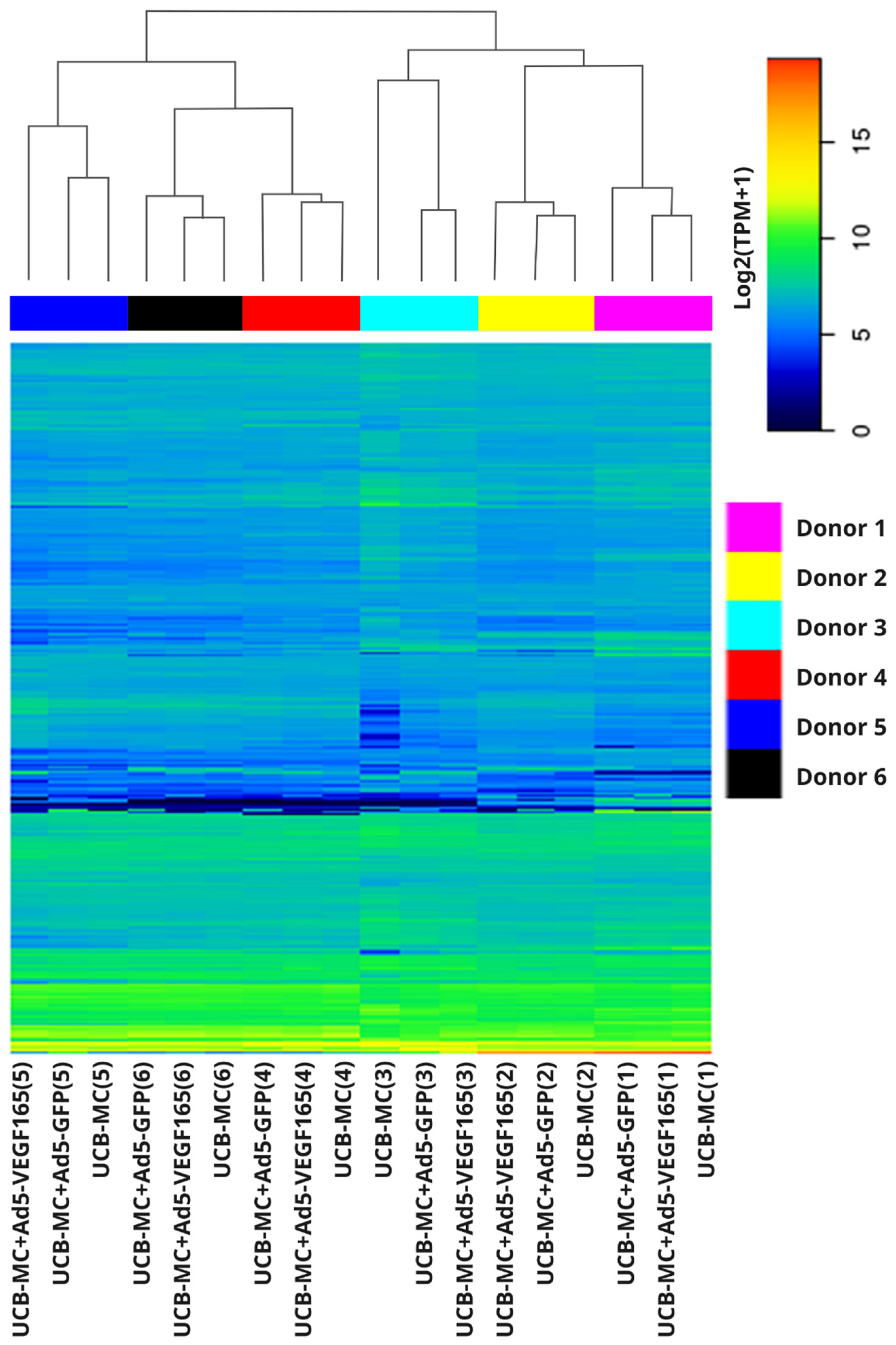 Biomedicines 11 02020 g003