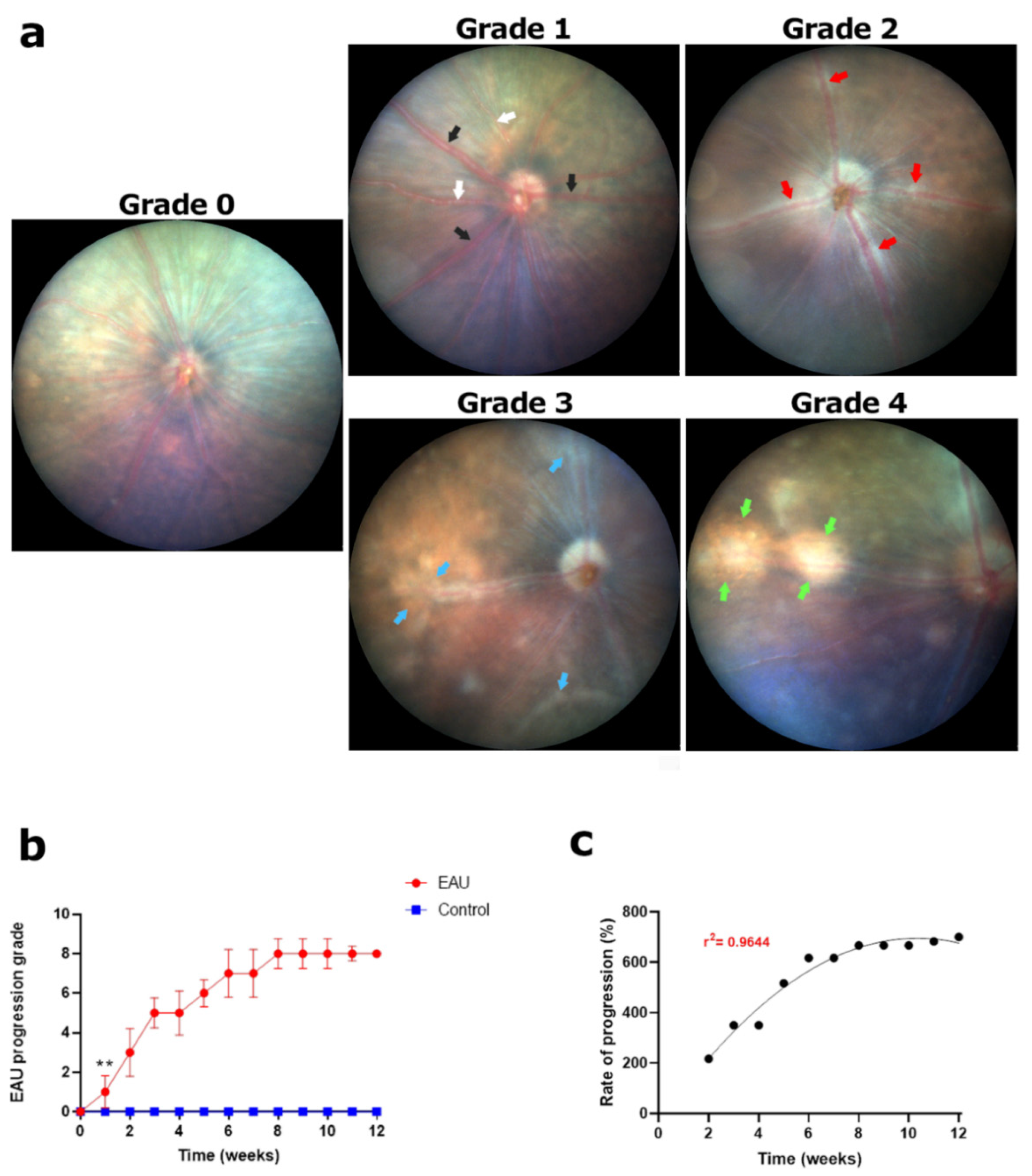 Biomedicines 11 02022 g003 Biomedicines 11 02022 g003