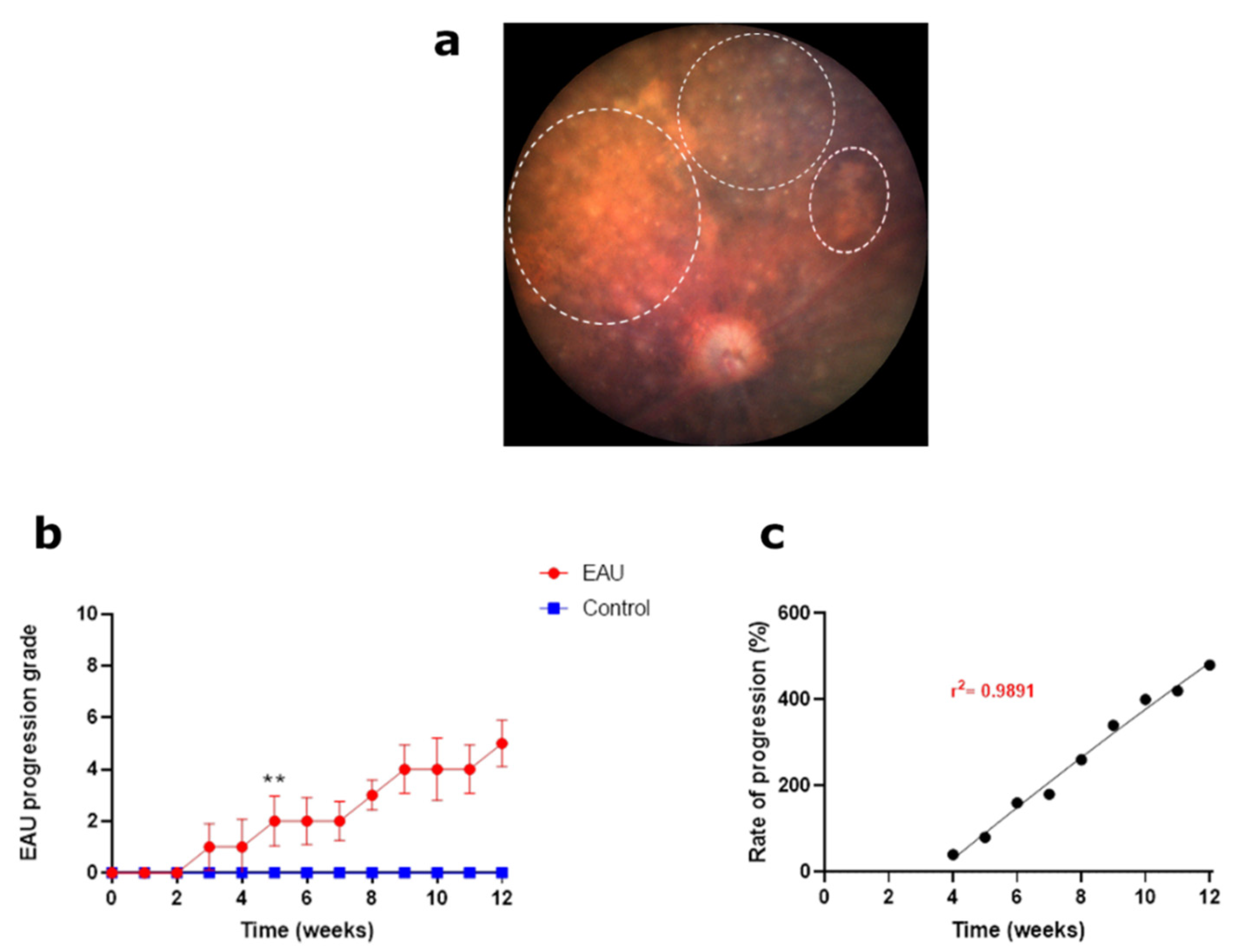 Biomedicines 11 02022 g005 Biomedicines 11 02022 g005