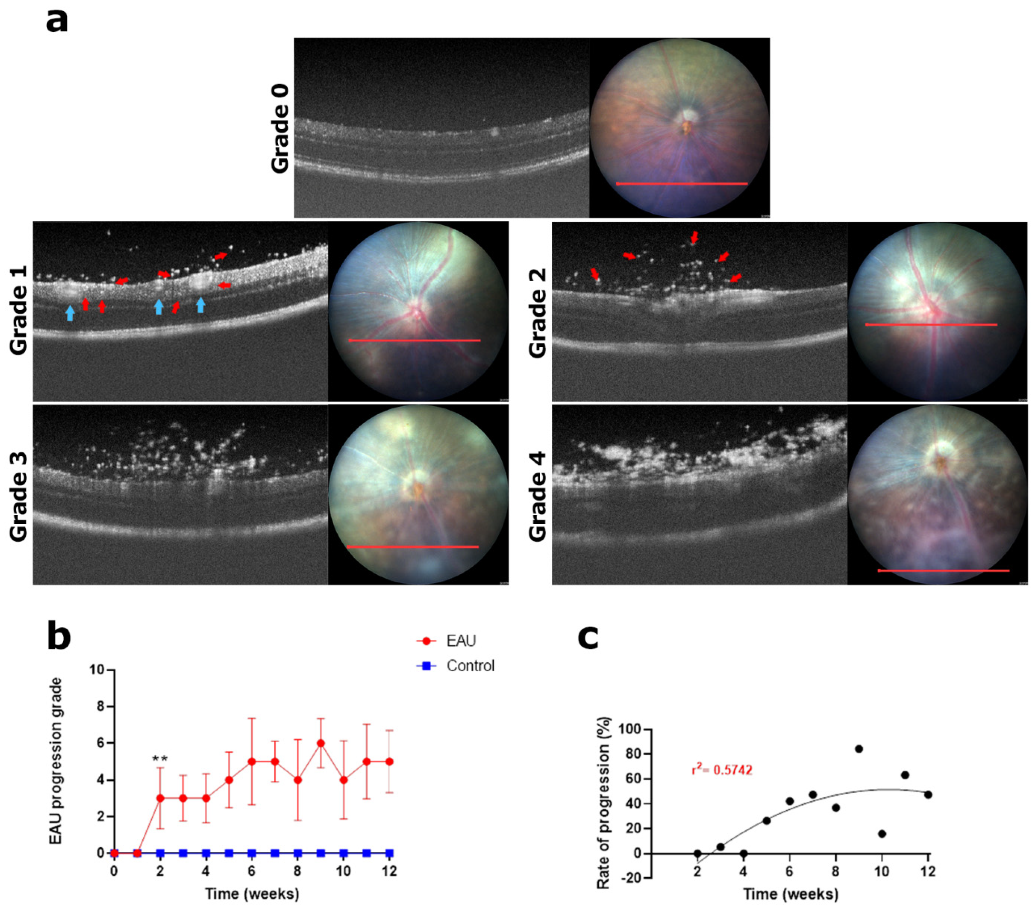 Biomedicines 11 02022 g006 Biomedicines 11 02022 g006