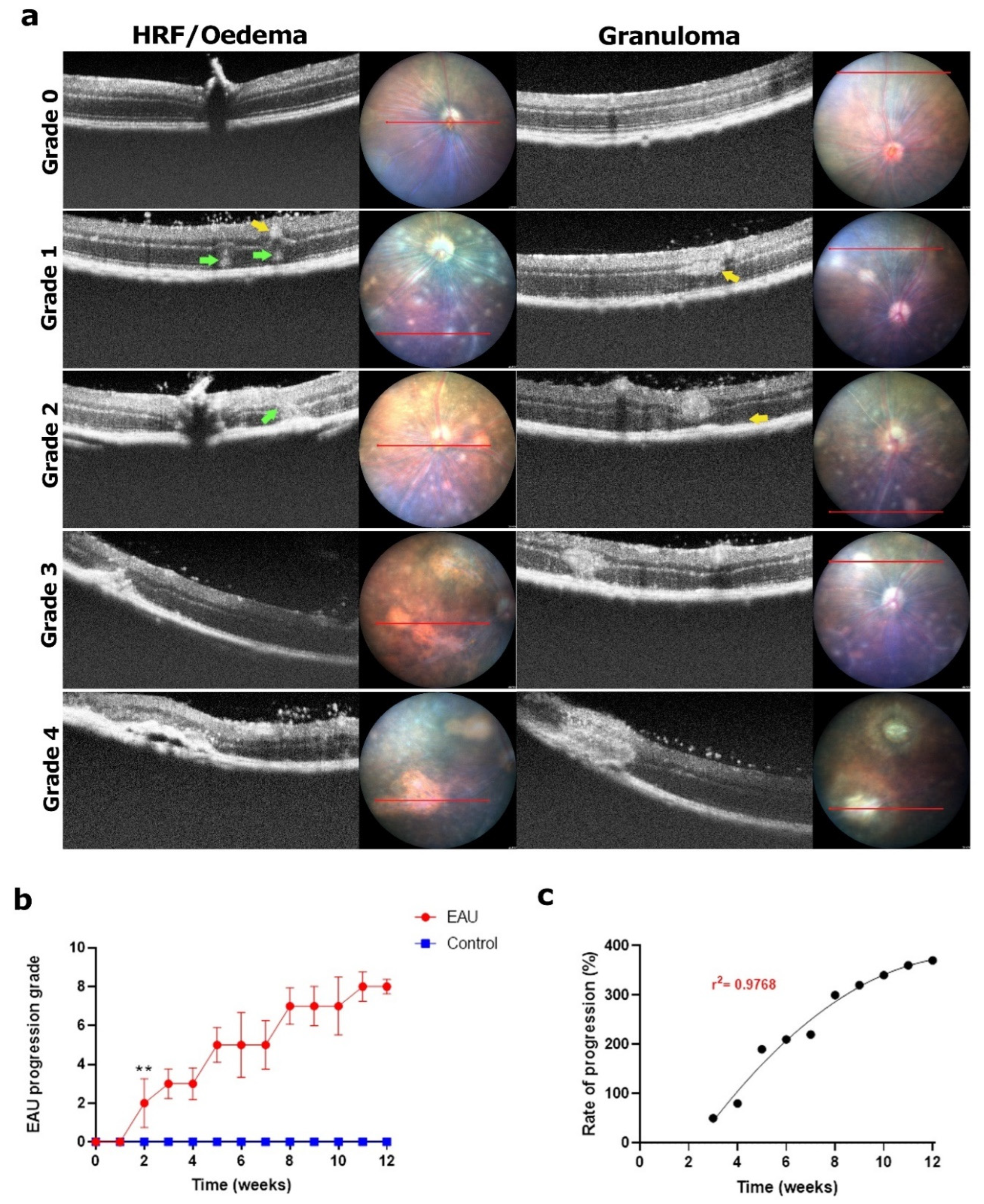 Biomedicines 11 02022 g007 Biomedicines 11 02022 g007