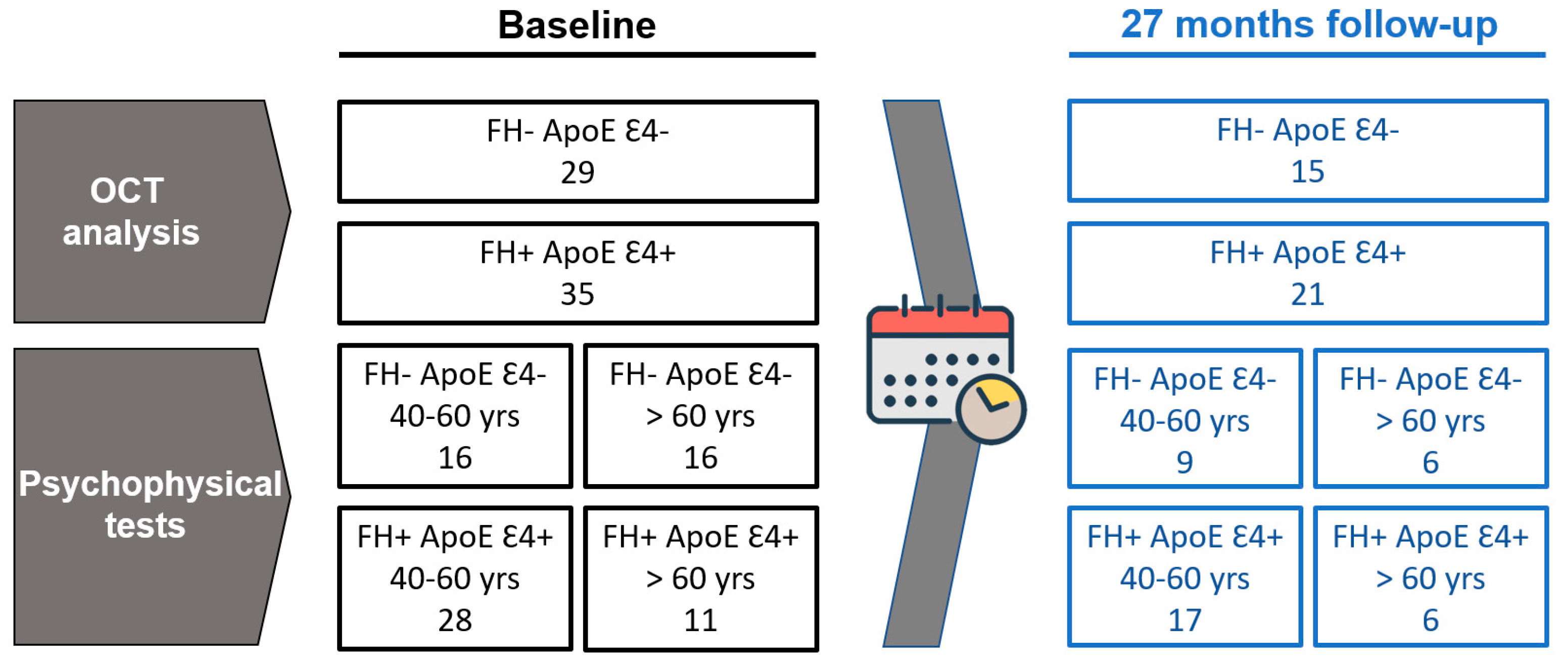 Biomedicines 11 02024 g001 Biomedicines 11 02024 g001