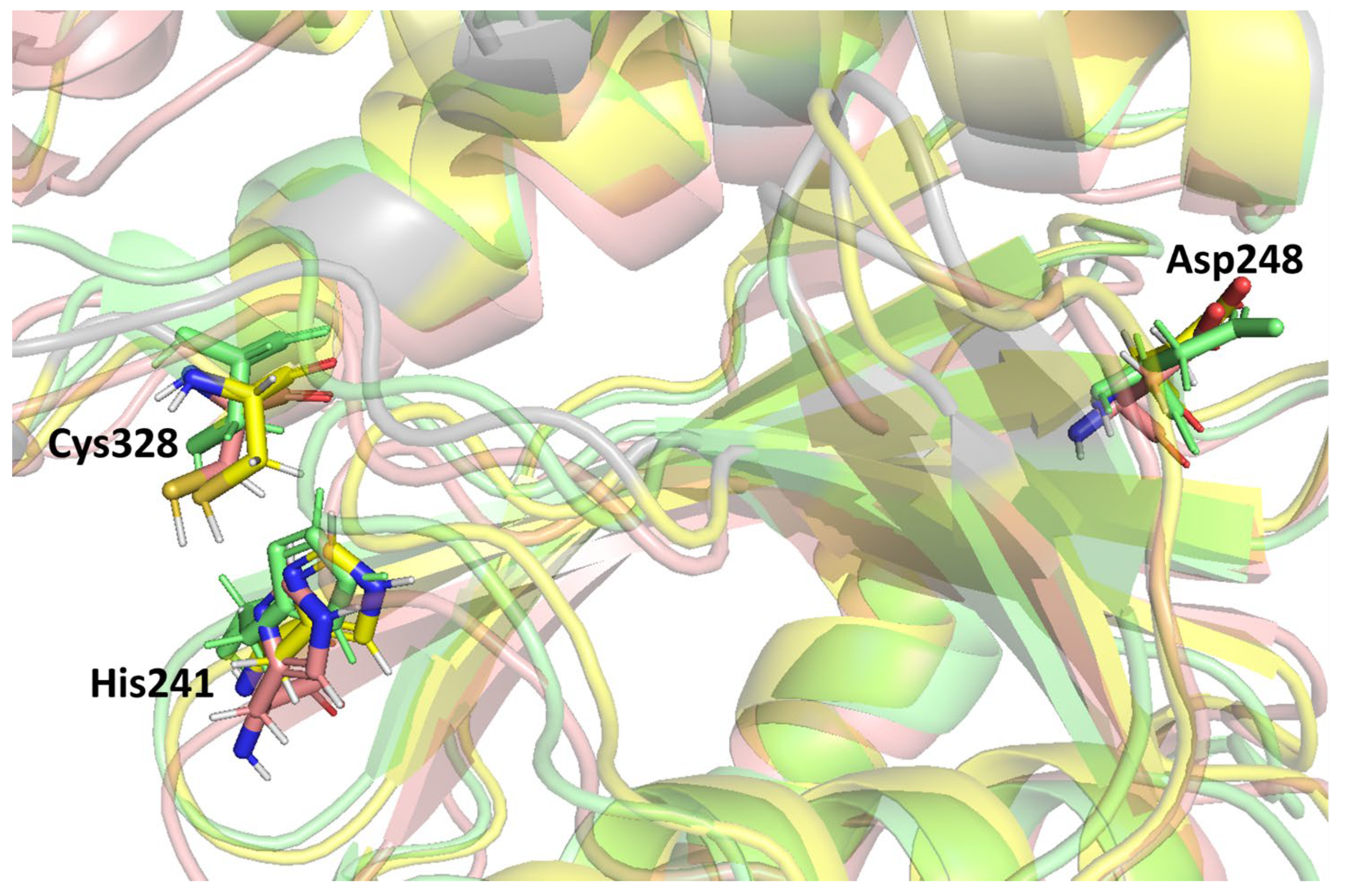 Biomedicines 11 02025 g004
