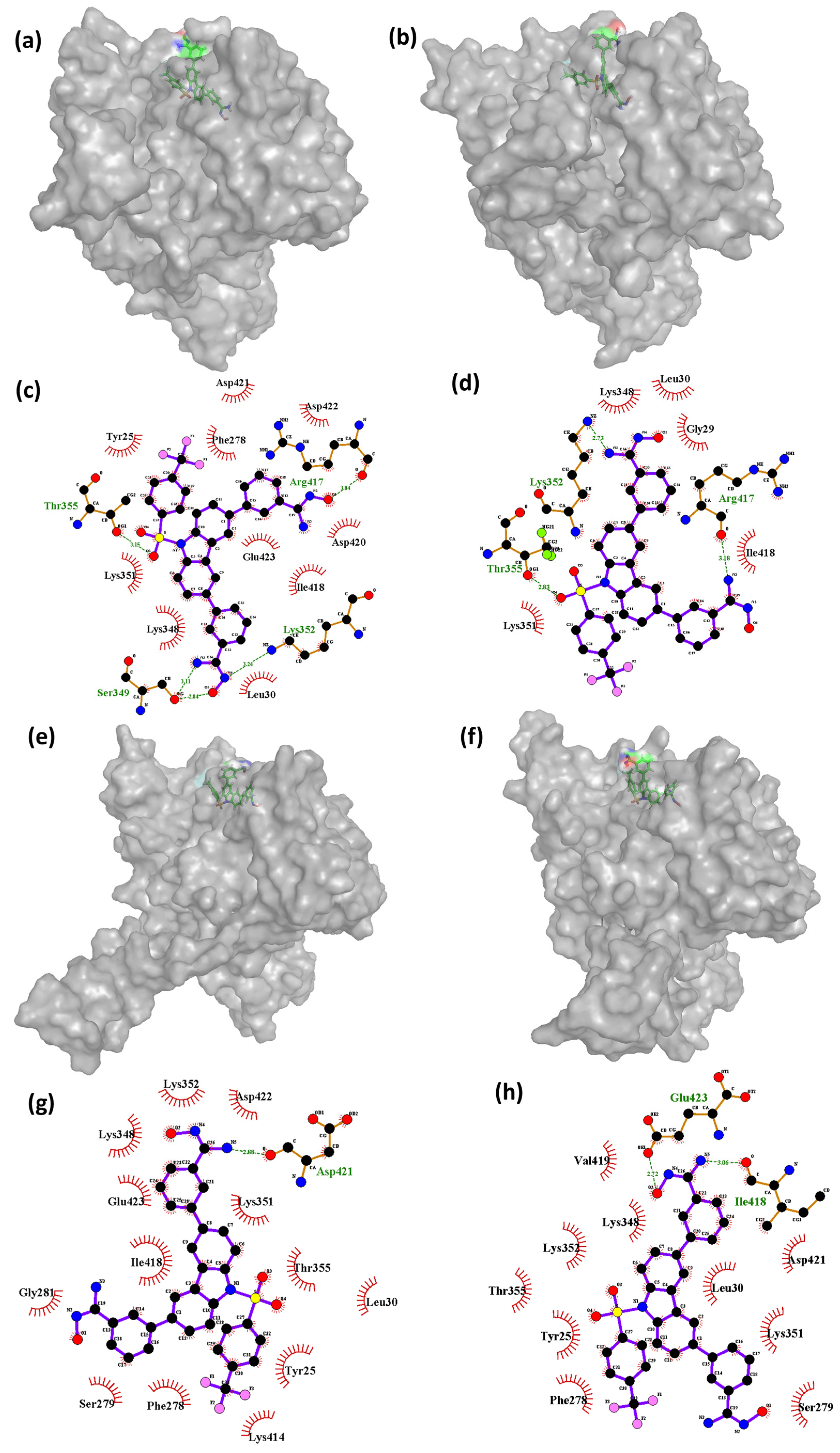 Biomedicines 11 02025 g008