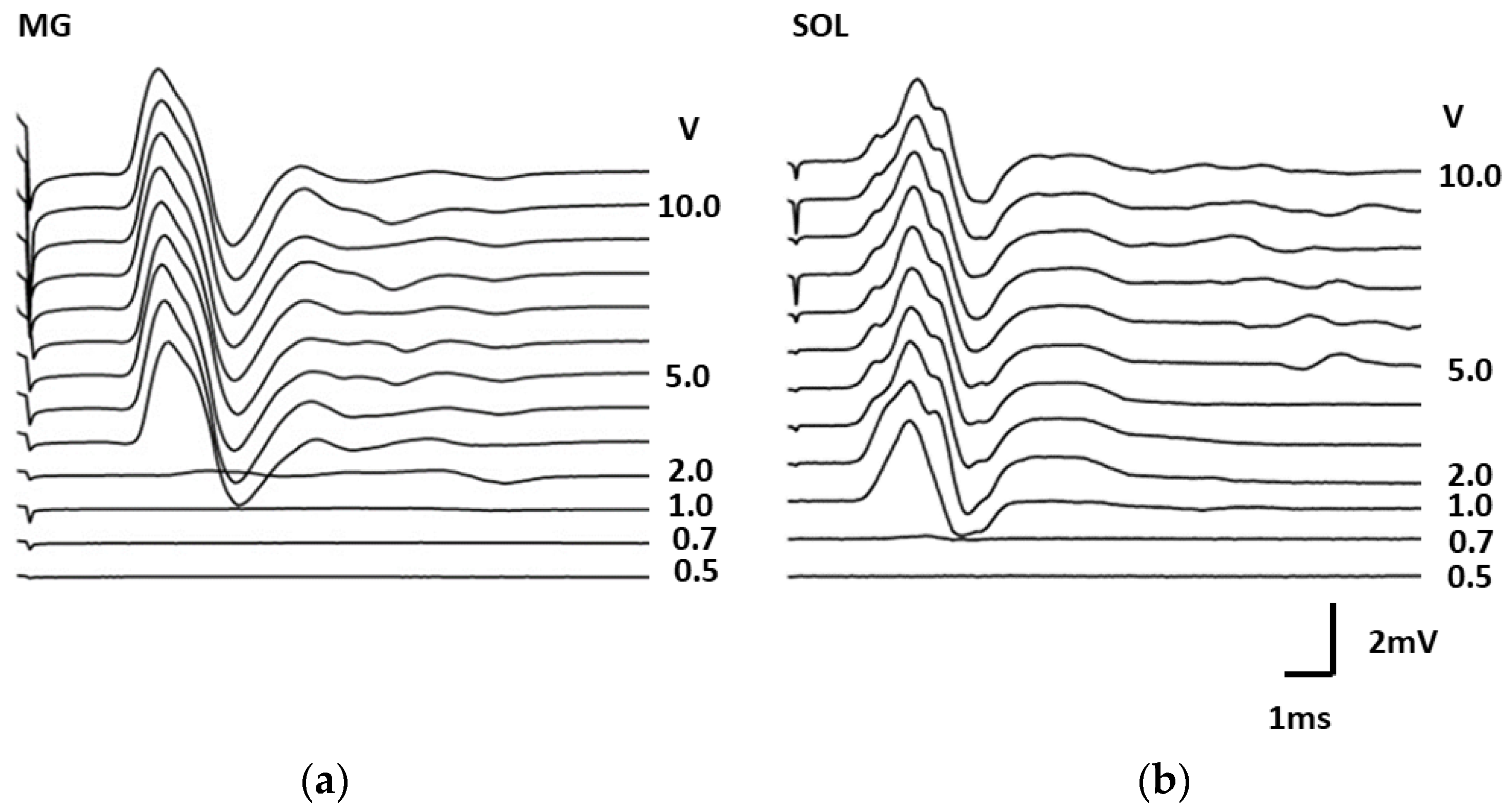 Biomedicines 11 02026 g003 Biomedicines 11 02026 g003