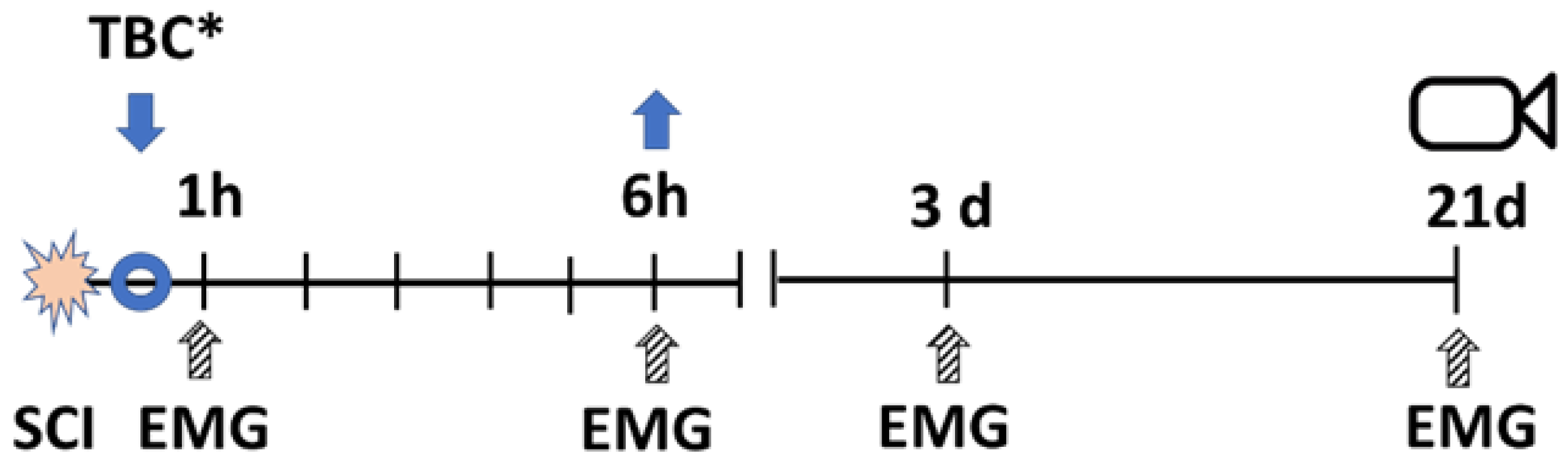 Biomedicines 11 02026 g004 Biomedicines 11 02026 g004