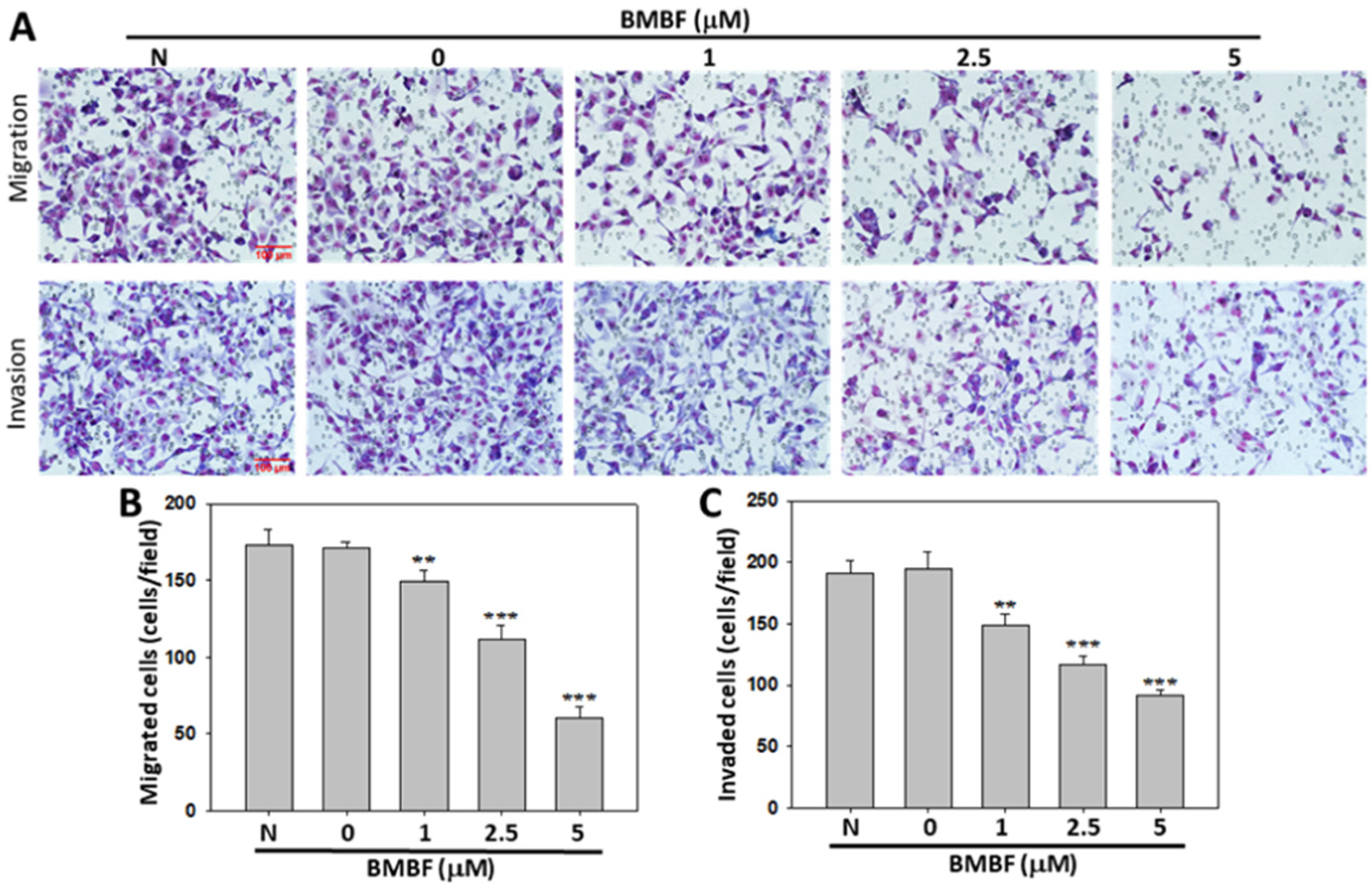 Biomedicines 11 02027 g004 Biomedicines 11 02027 g004