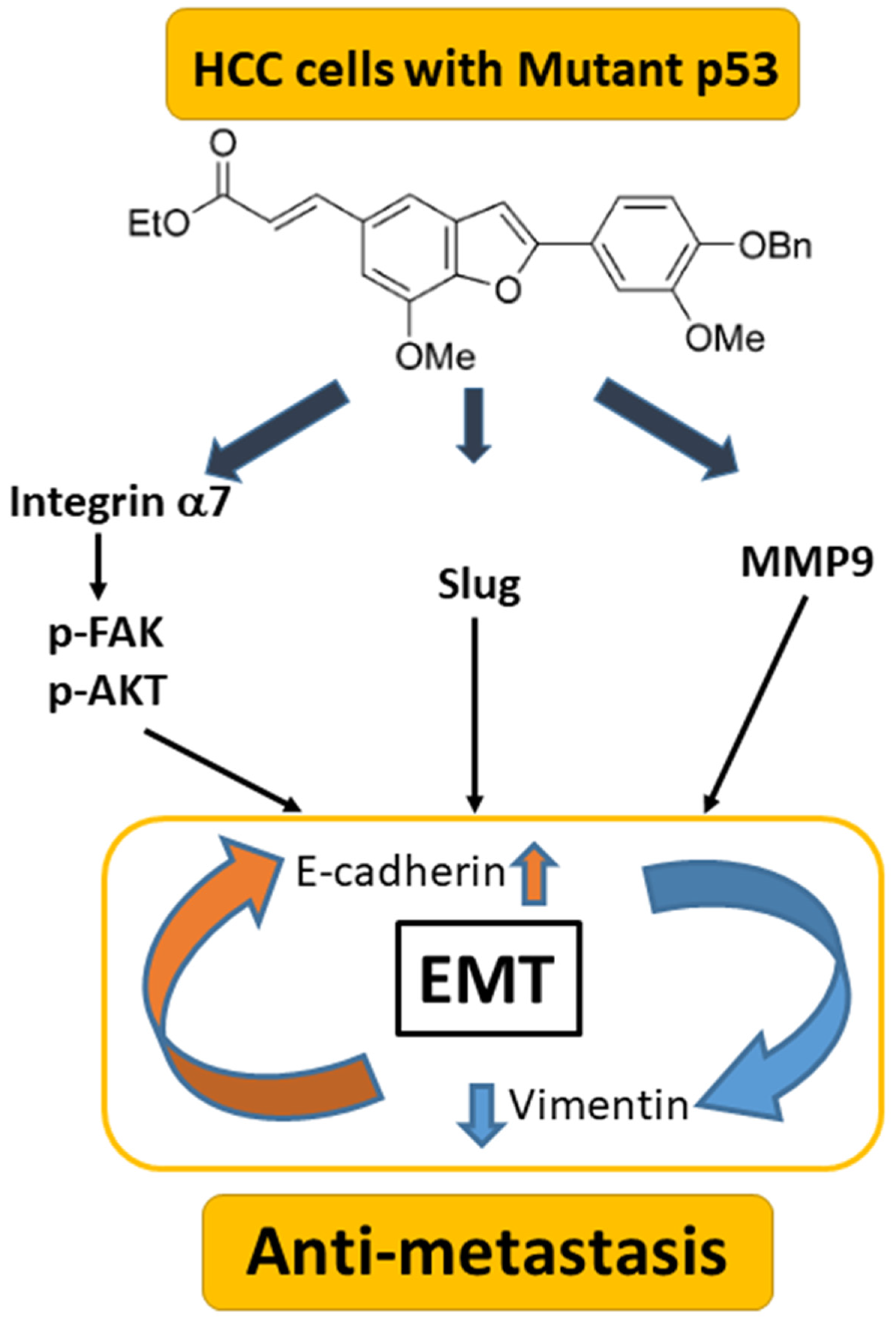 Biomedicines 11 02027 g008 Biomedicines 11 02027 g008