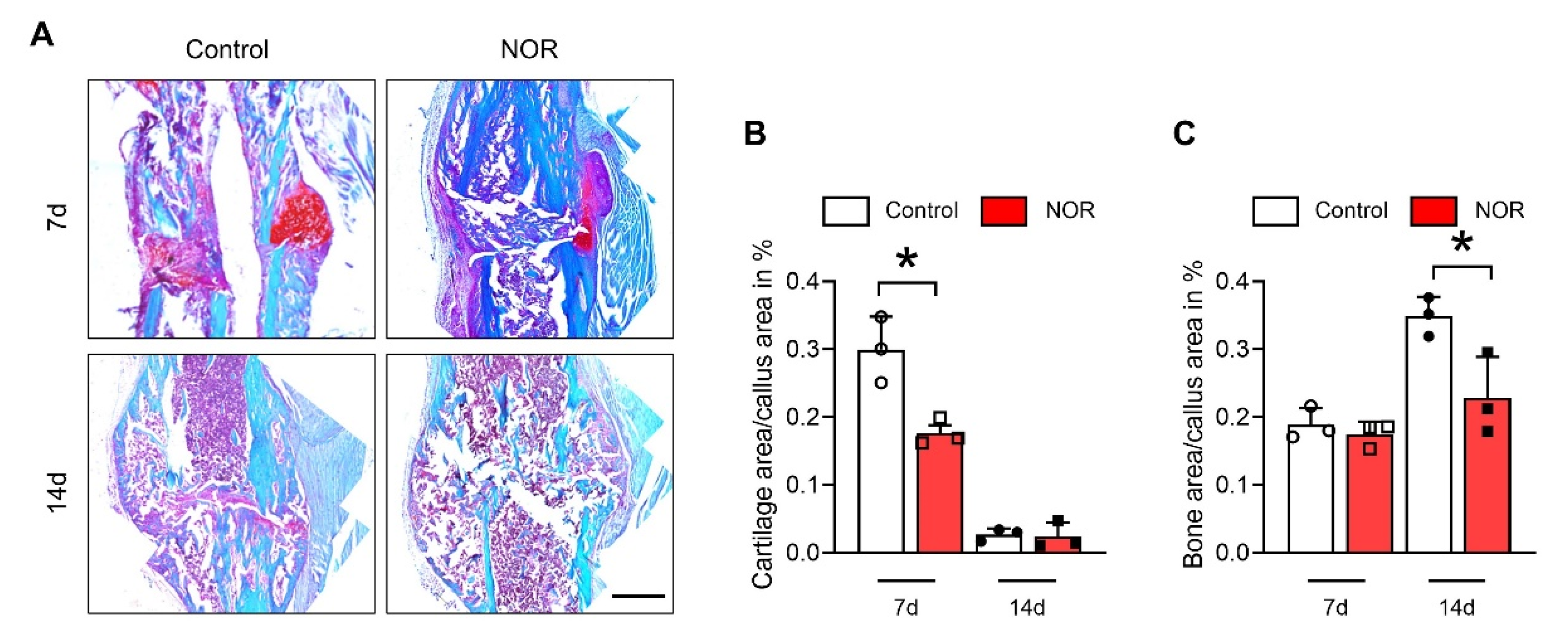 Biomedicines 11 02031 g002