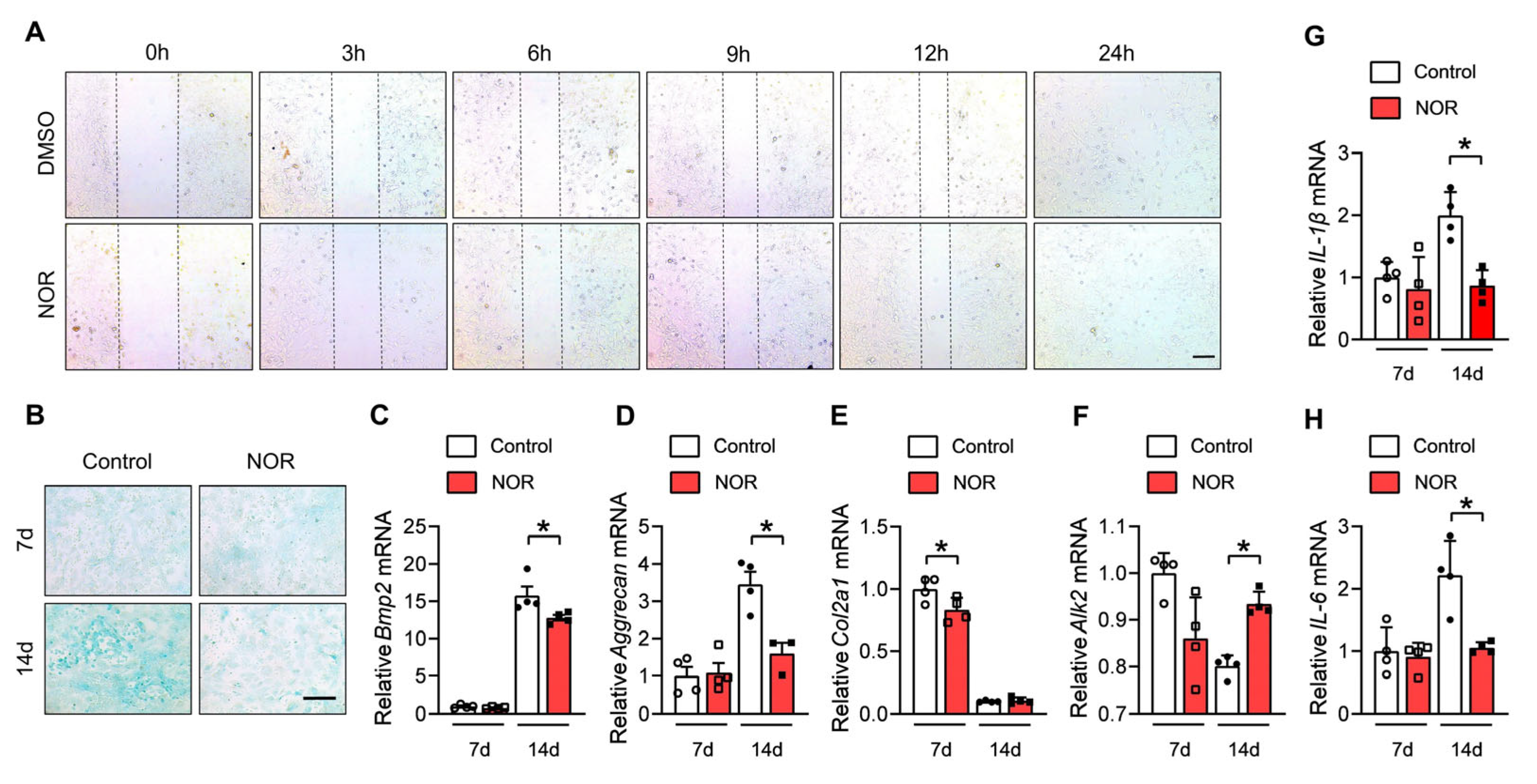 Biomedicines 11 02031 g003