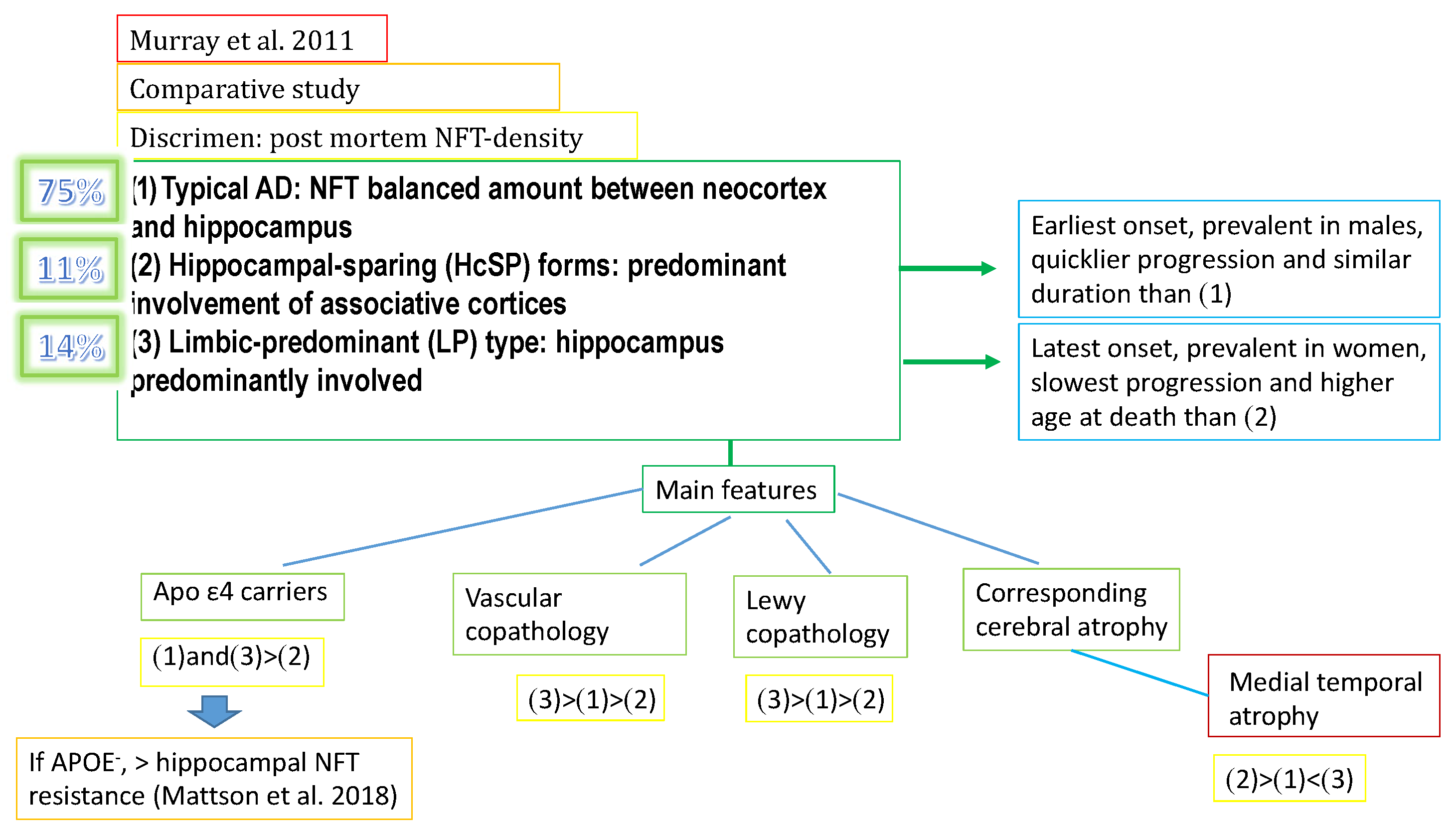 Biomedicines 11 02035 g001