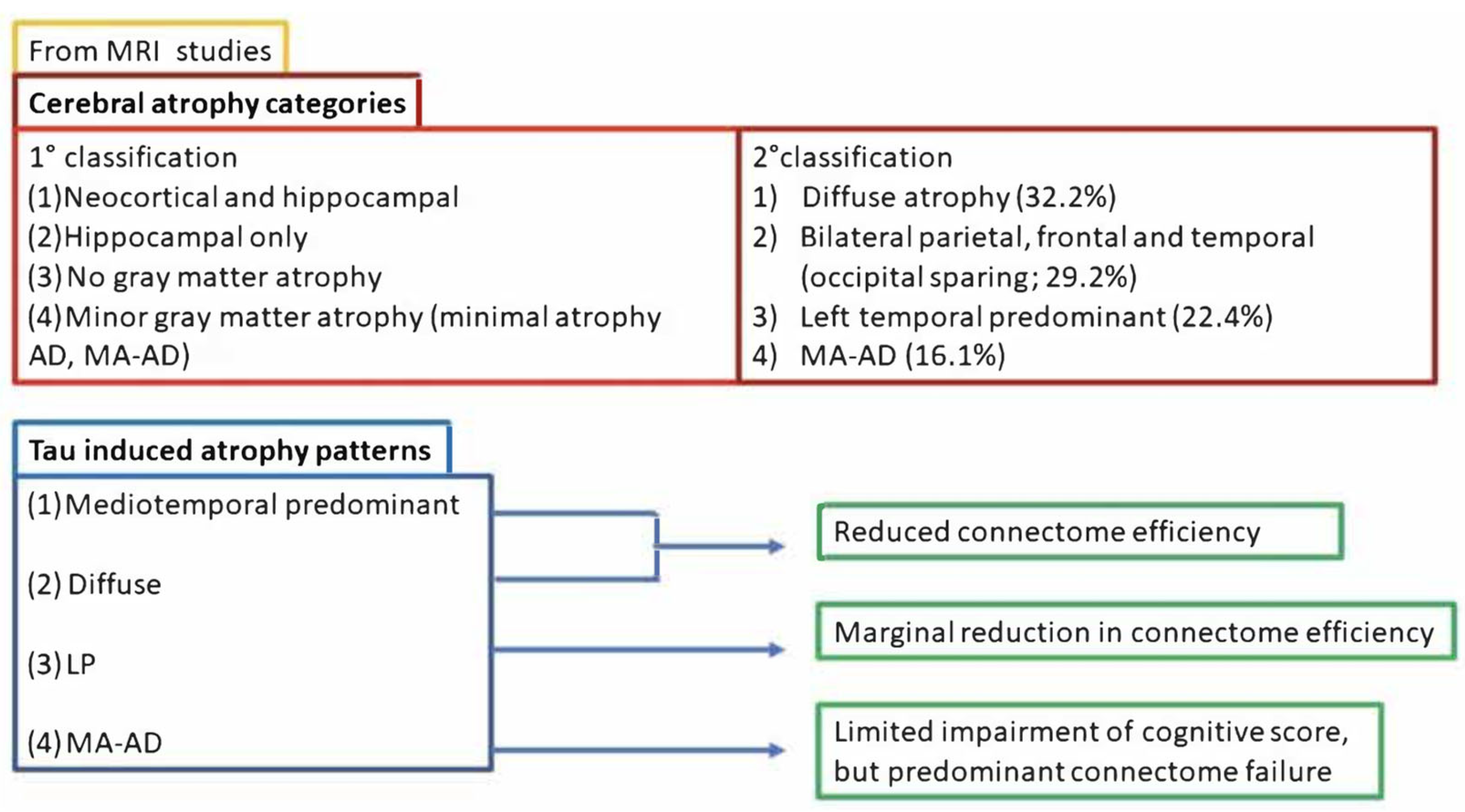 Biomedicines 11 02035 g002