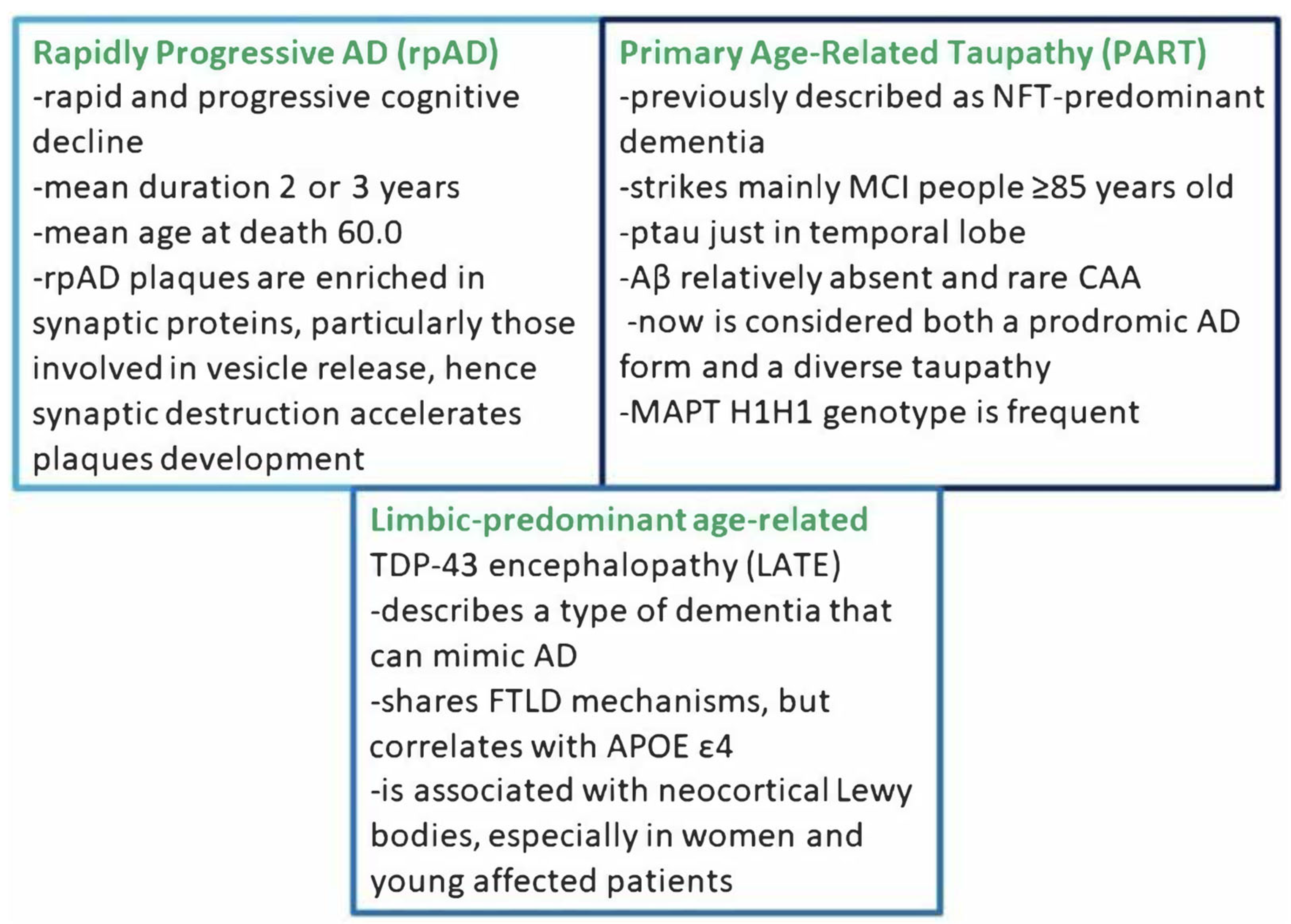 Biomedicines 11 02035 g004