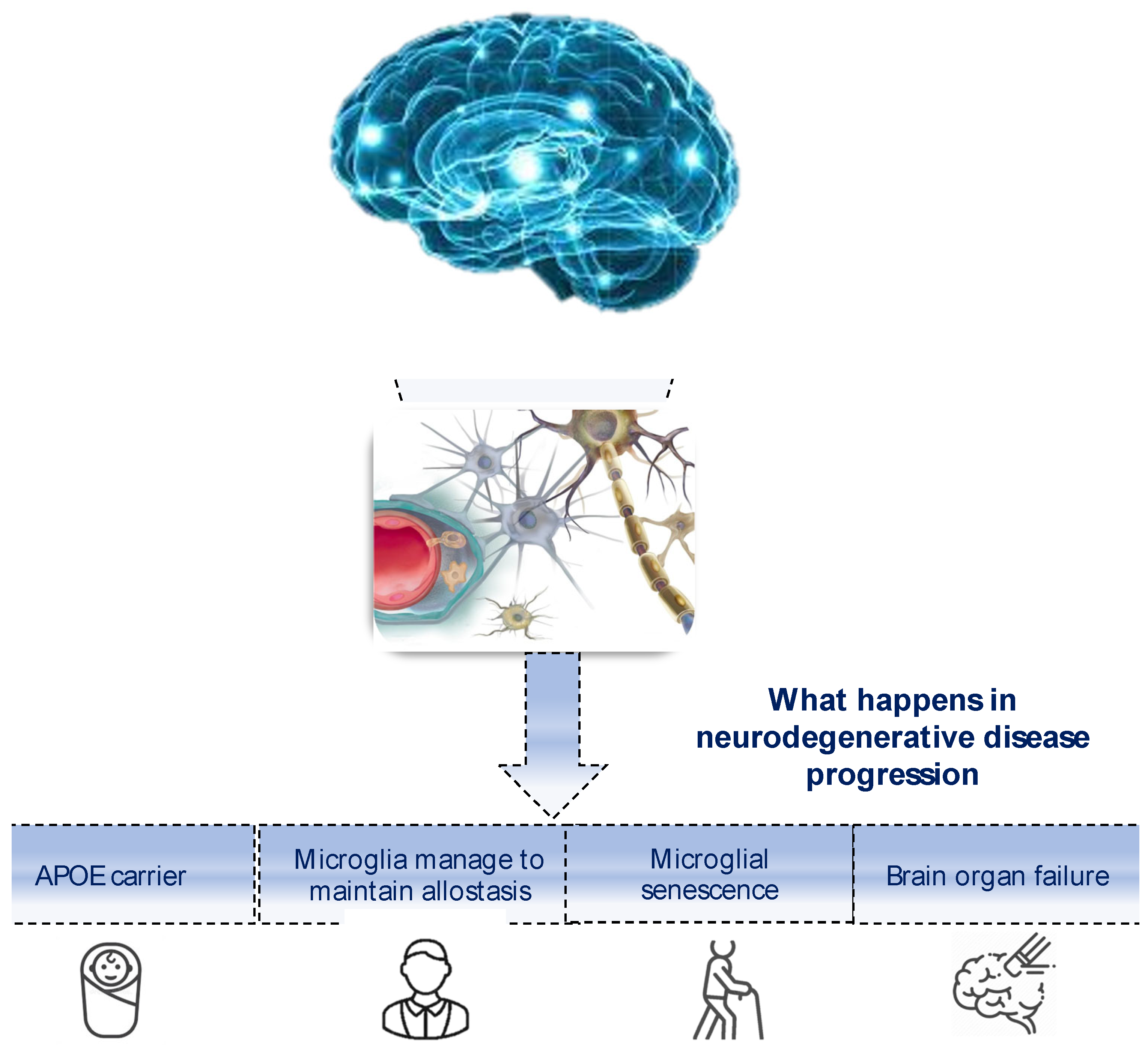 Biomedicines 11 02035 g006