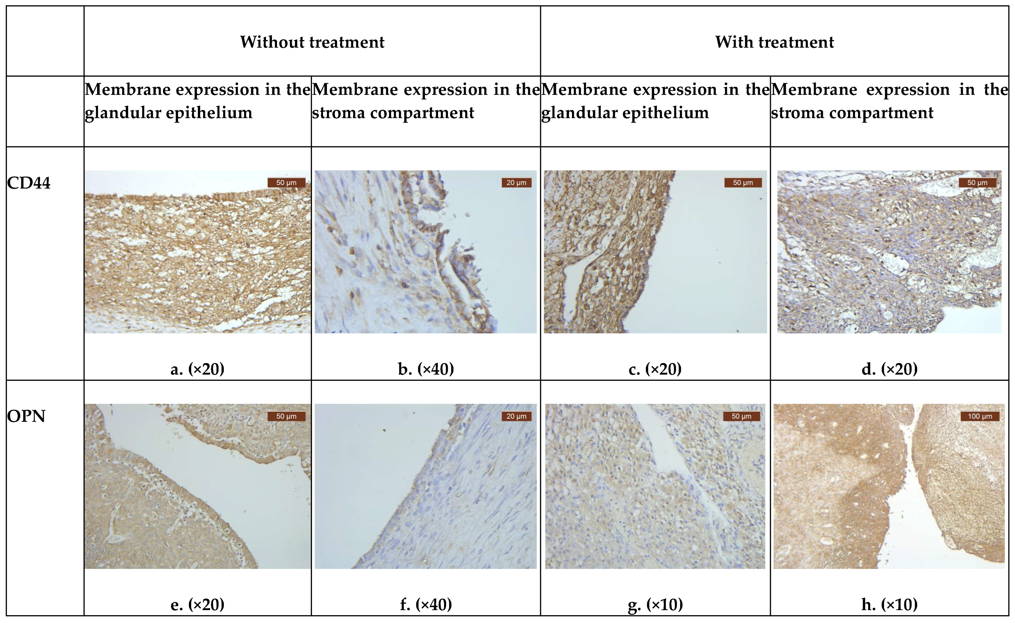 Biomedicines 11 02036 g001 Biomedicines 11 02036 g001