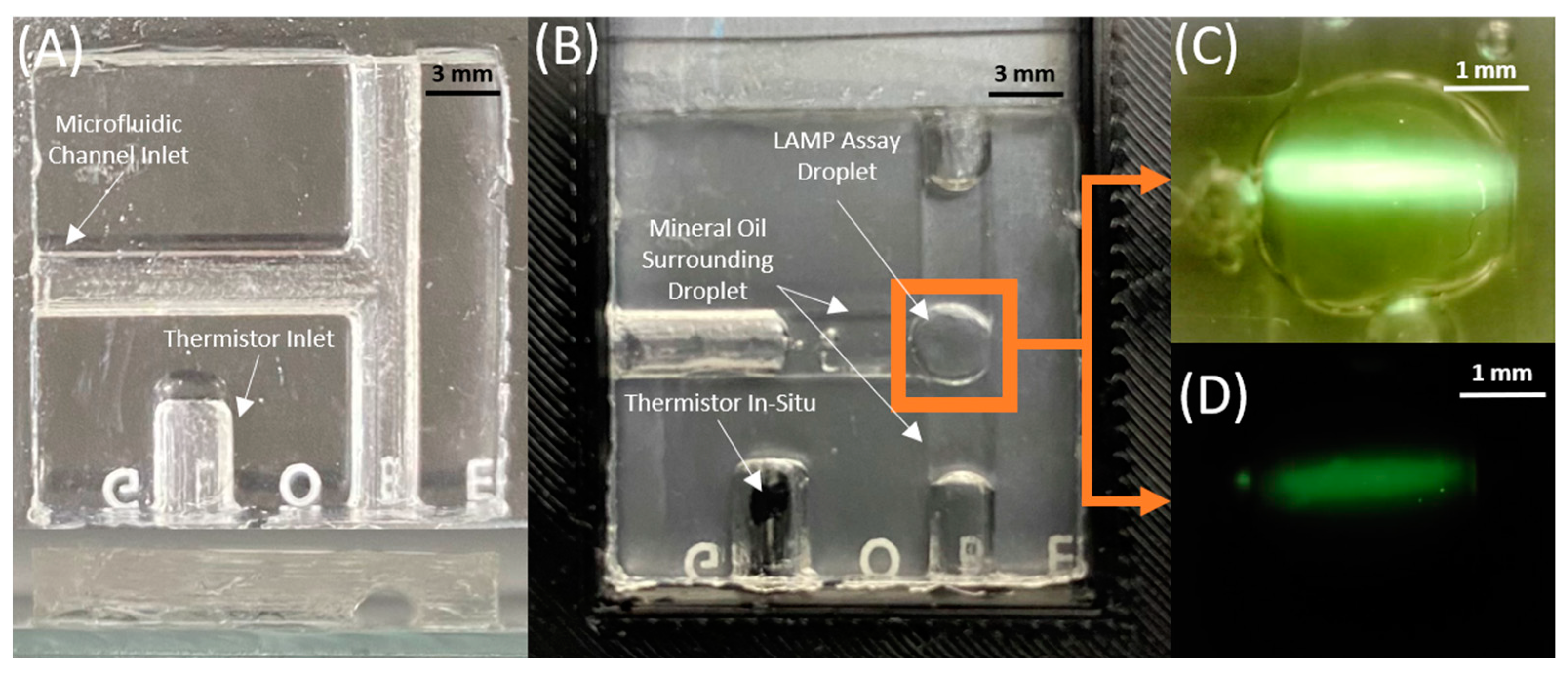 Biomedicines 11 02038 g001 Biomedicines 11 02038 g001