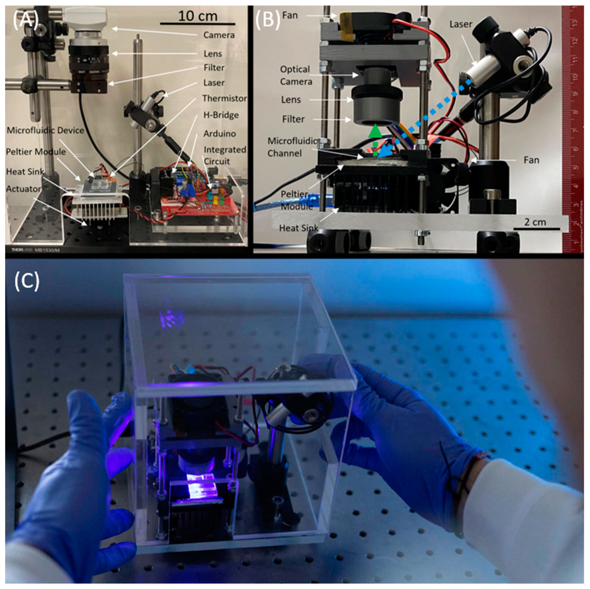Biomedicines 11 02038 g002 Biomedicines 11 02038 g002