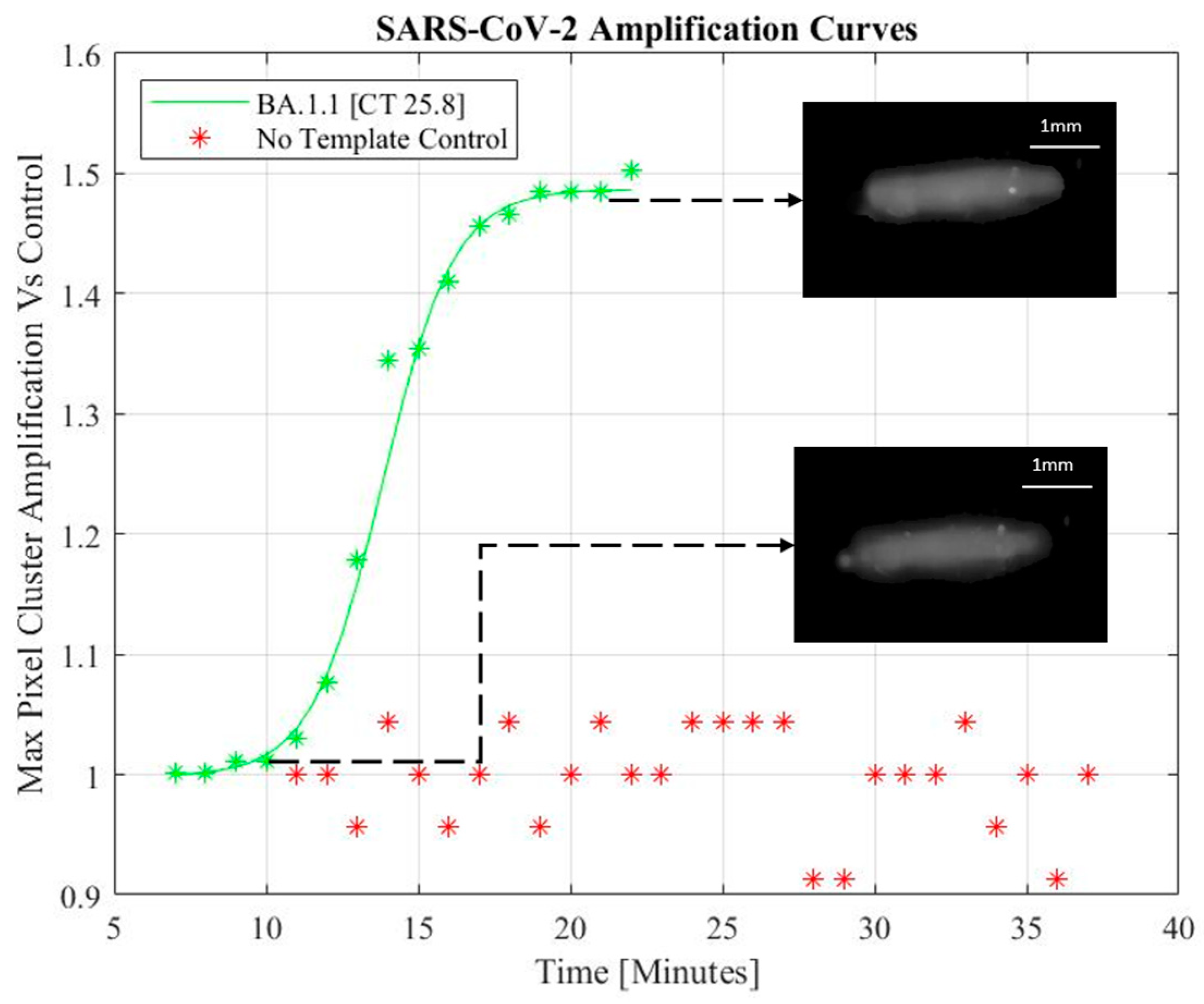 Biomedicines 11 02038 g003 Biomedicines 11 02038 g003